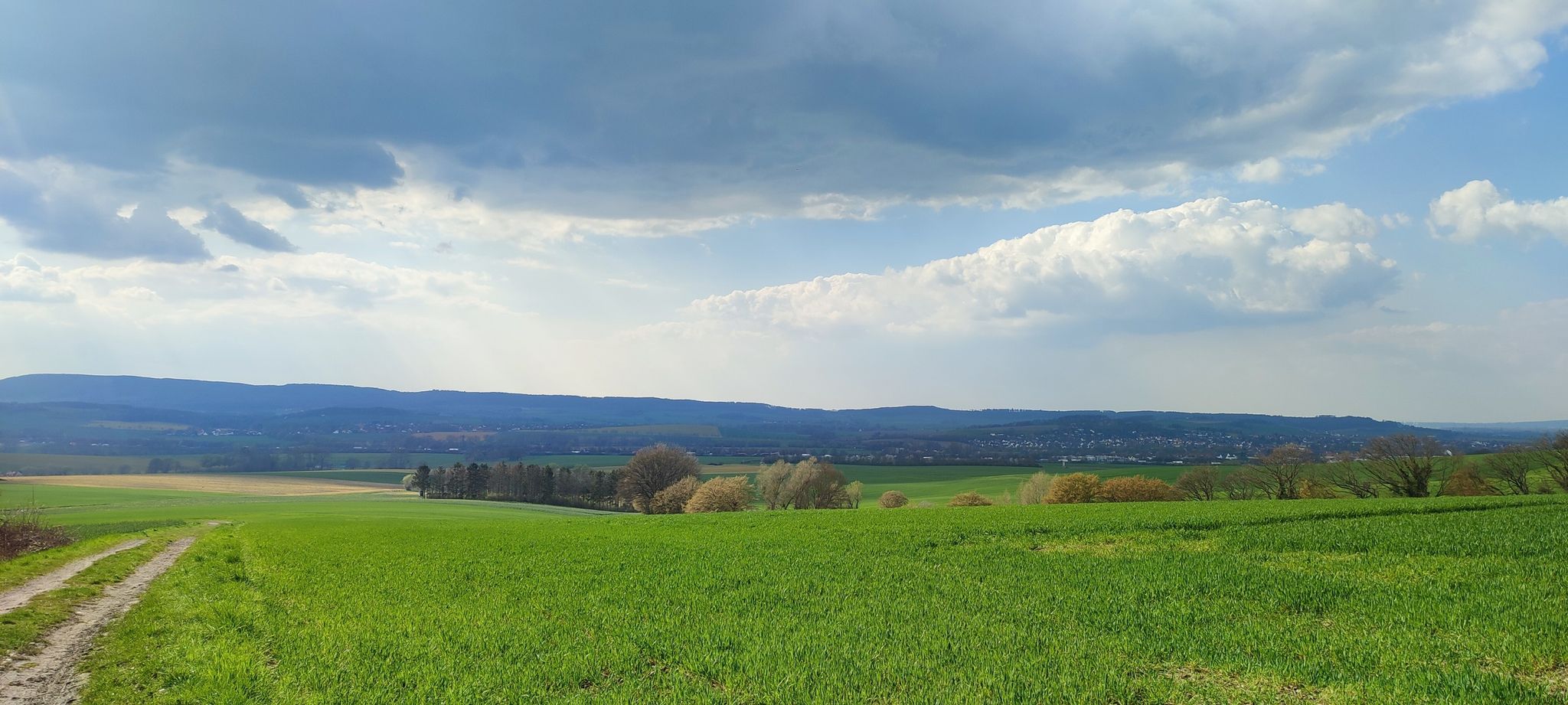 Blick auf den Süntel/Hohenstein
