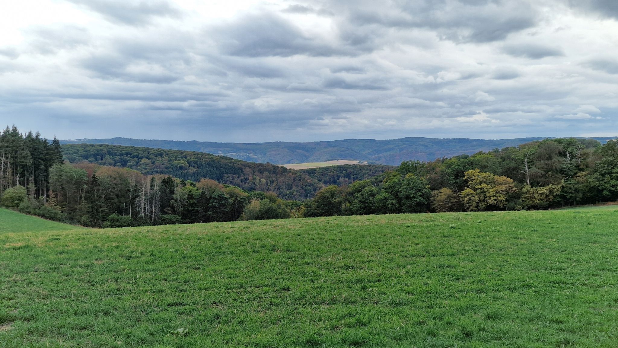 Dinkholder Feld