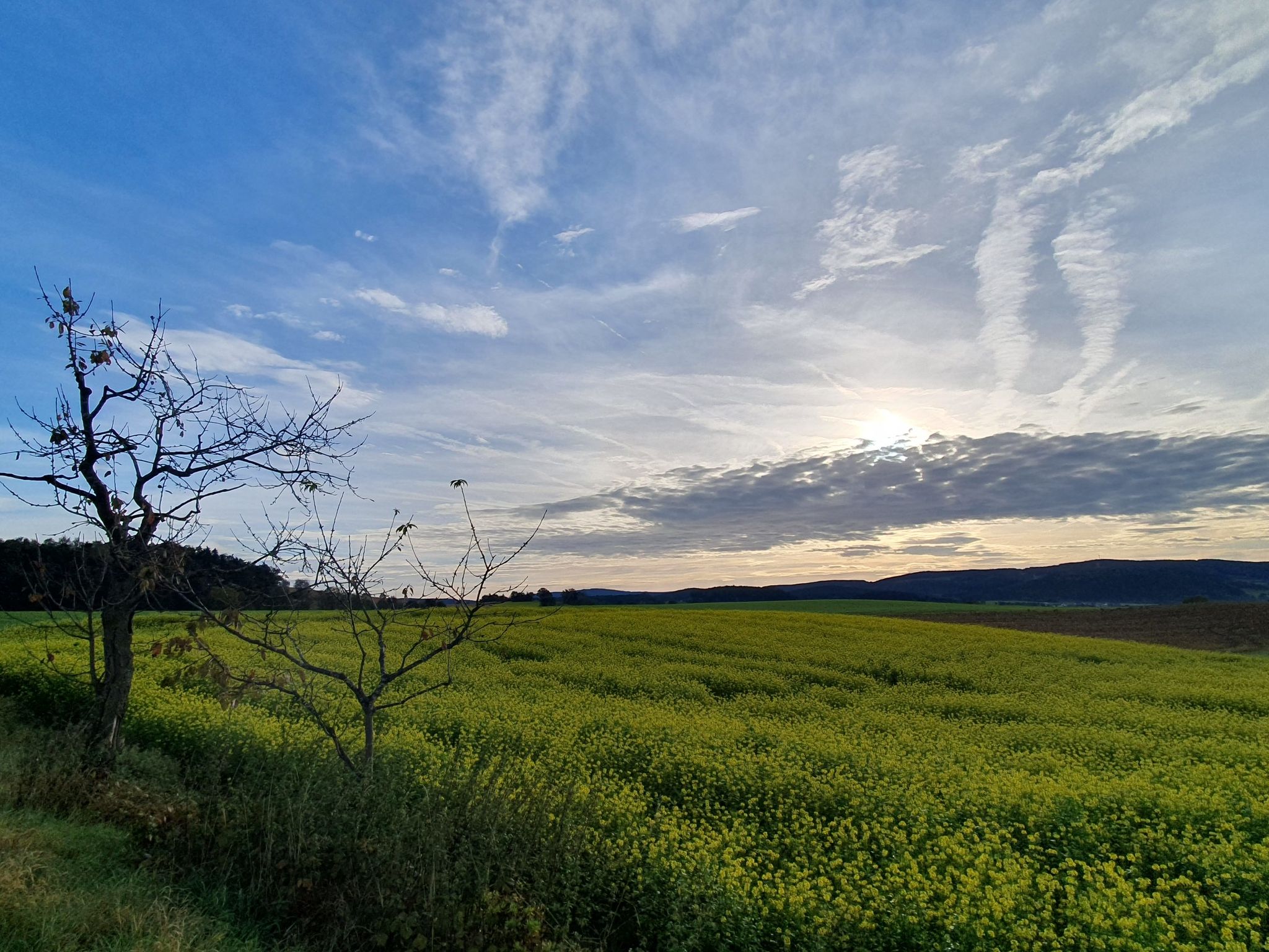 Weitblick