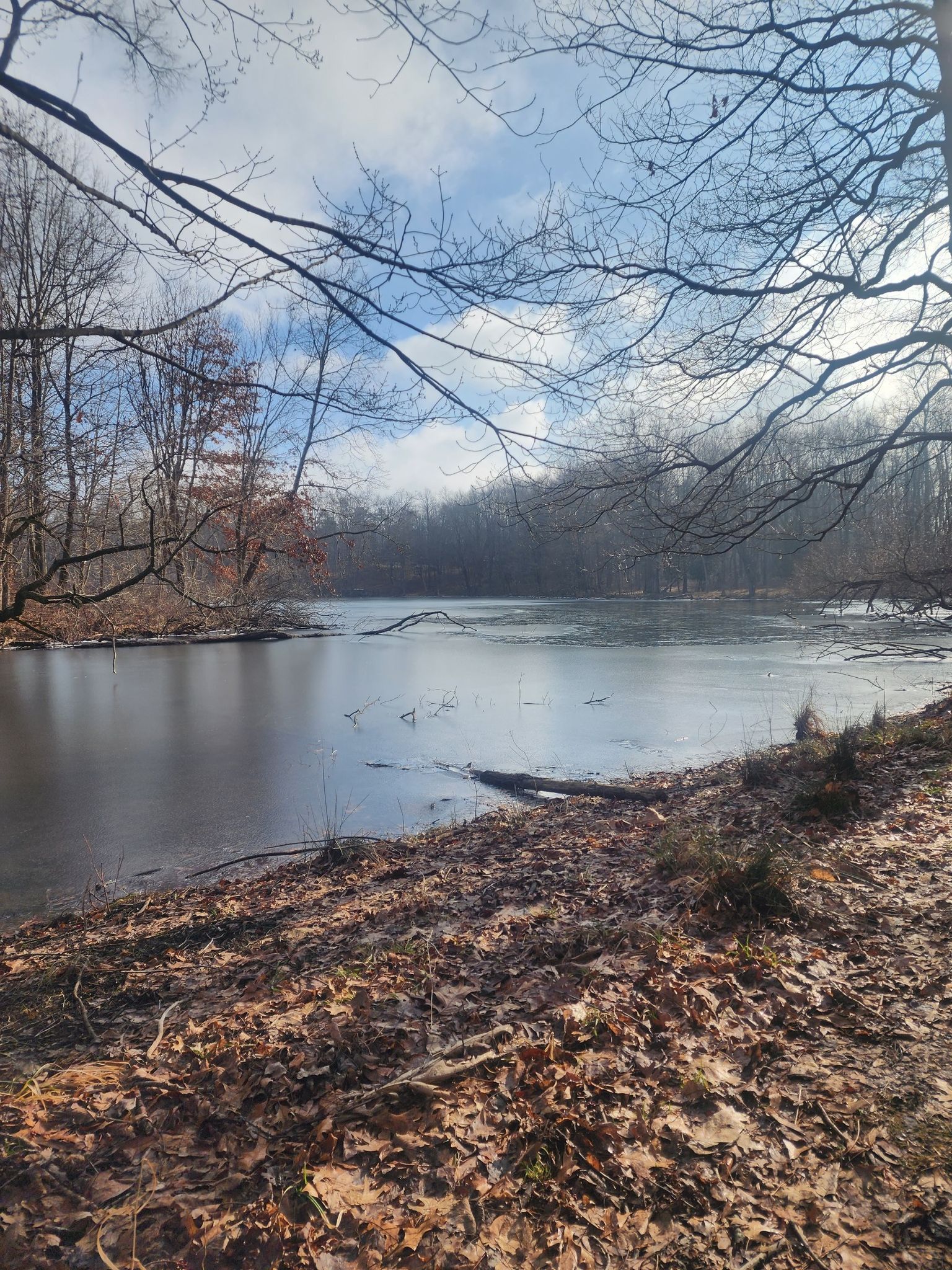 Partially frozen lake with bare trees and fallen leaves under a cloudy sky. - Spirit Springs Sanctuary Trail