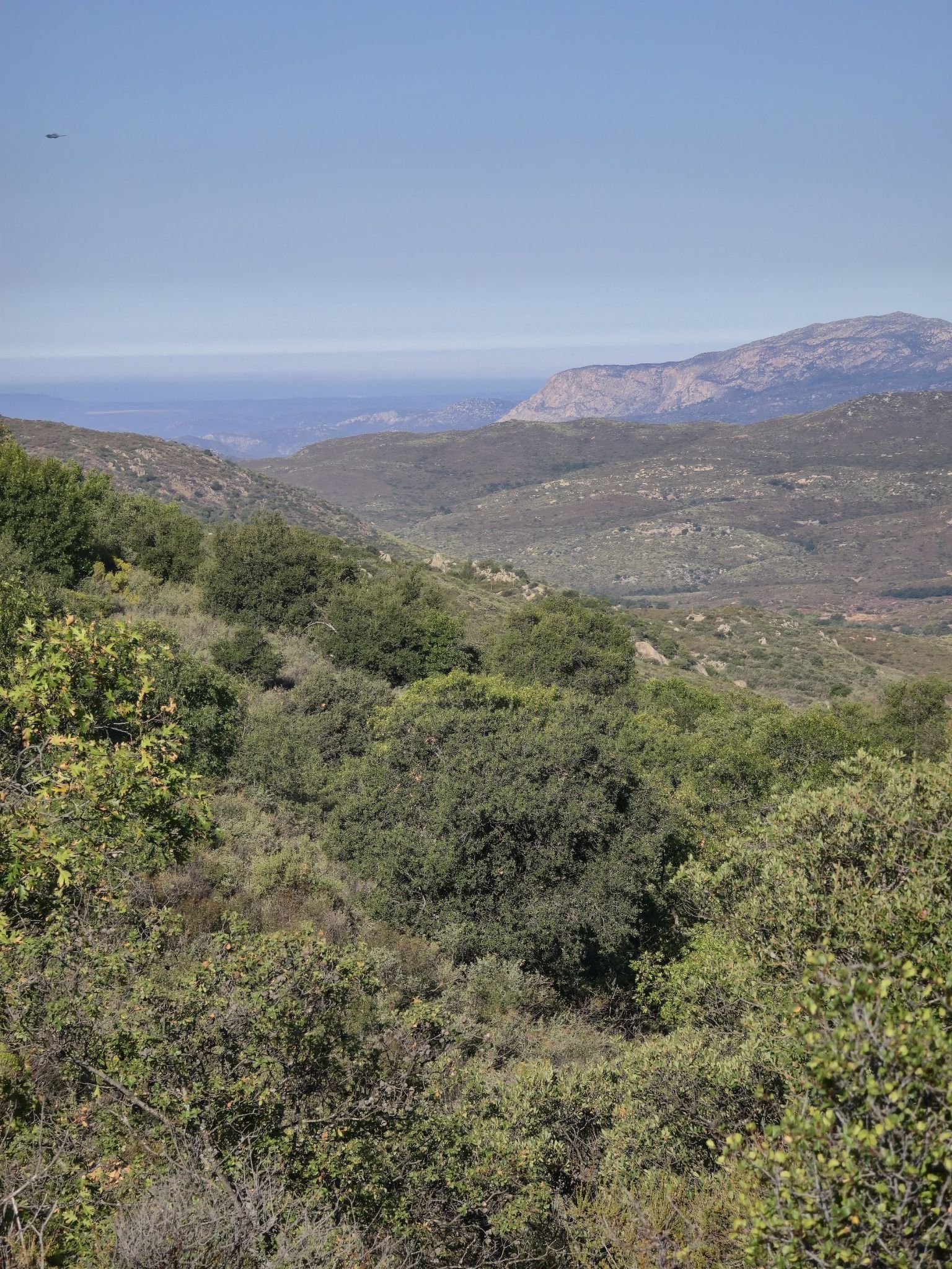 A vast landscape of green, rolling hills under a clear, bright sky. - Green Valley Falls Loop – Cuyamaca Rancho State Park