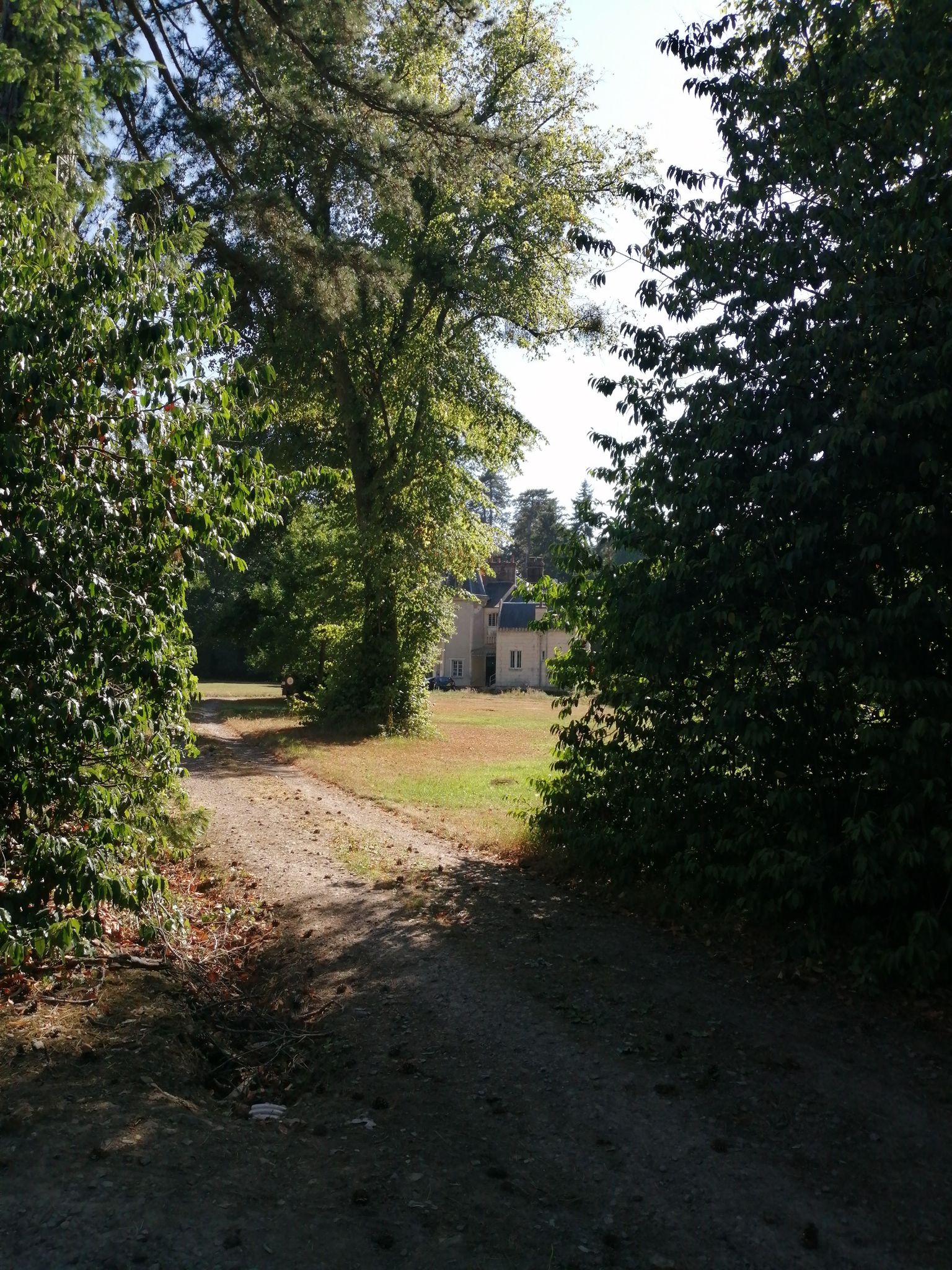 Chateau d'hubertus