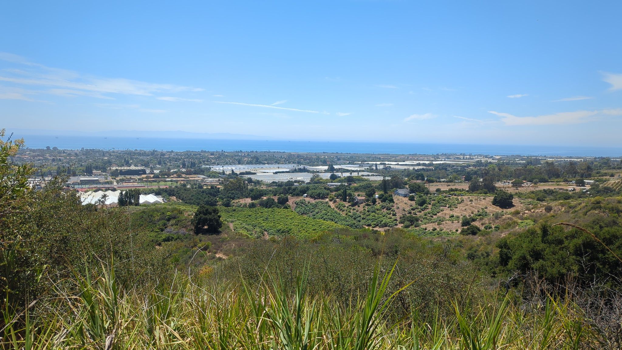 Expansive view of a green plain, distant town, and ocean under clear skies. - Franklin Trail to Frank's Bench