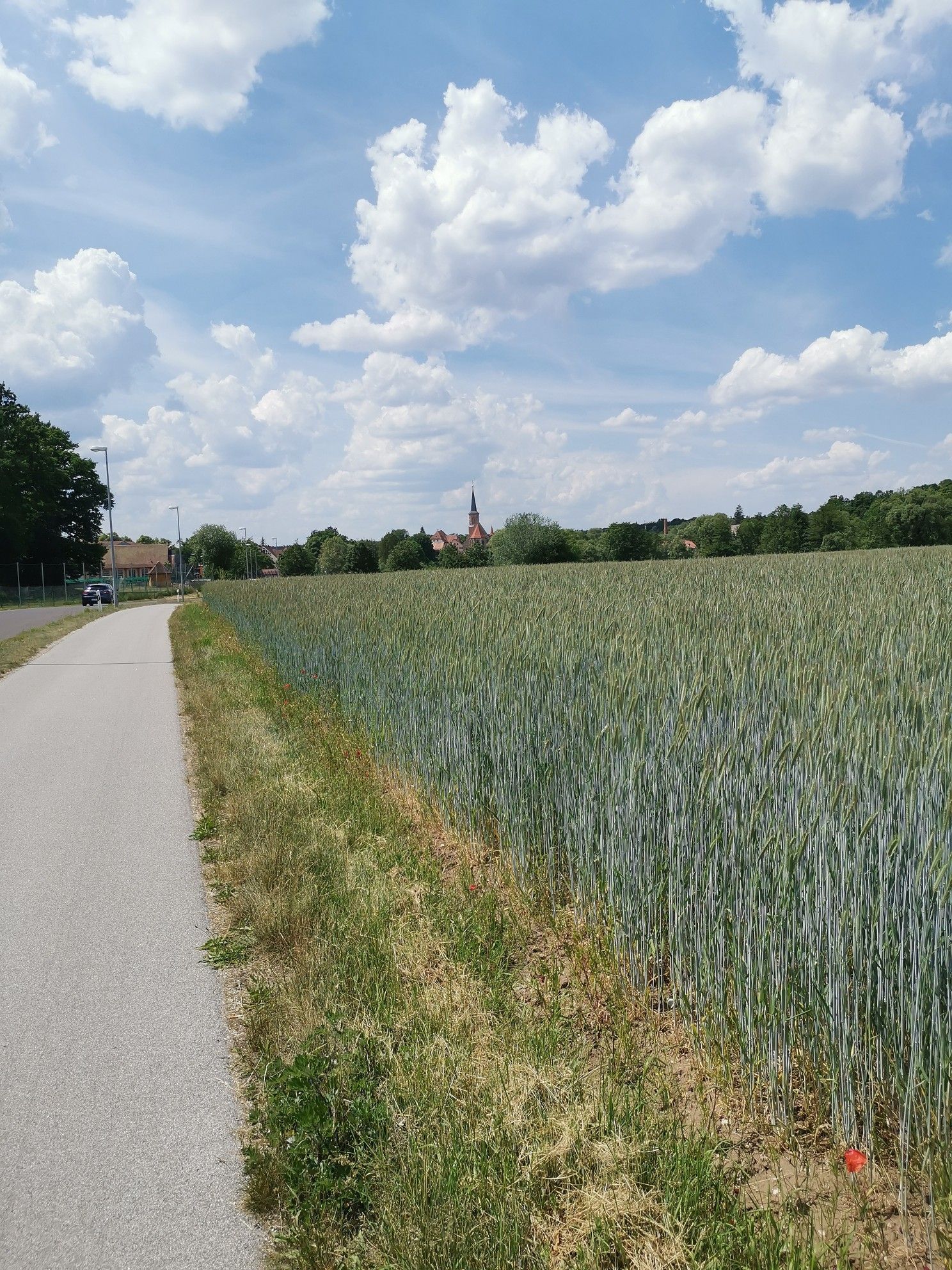 Wendelstein 