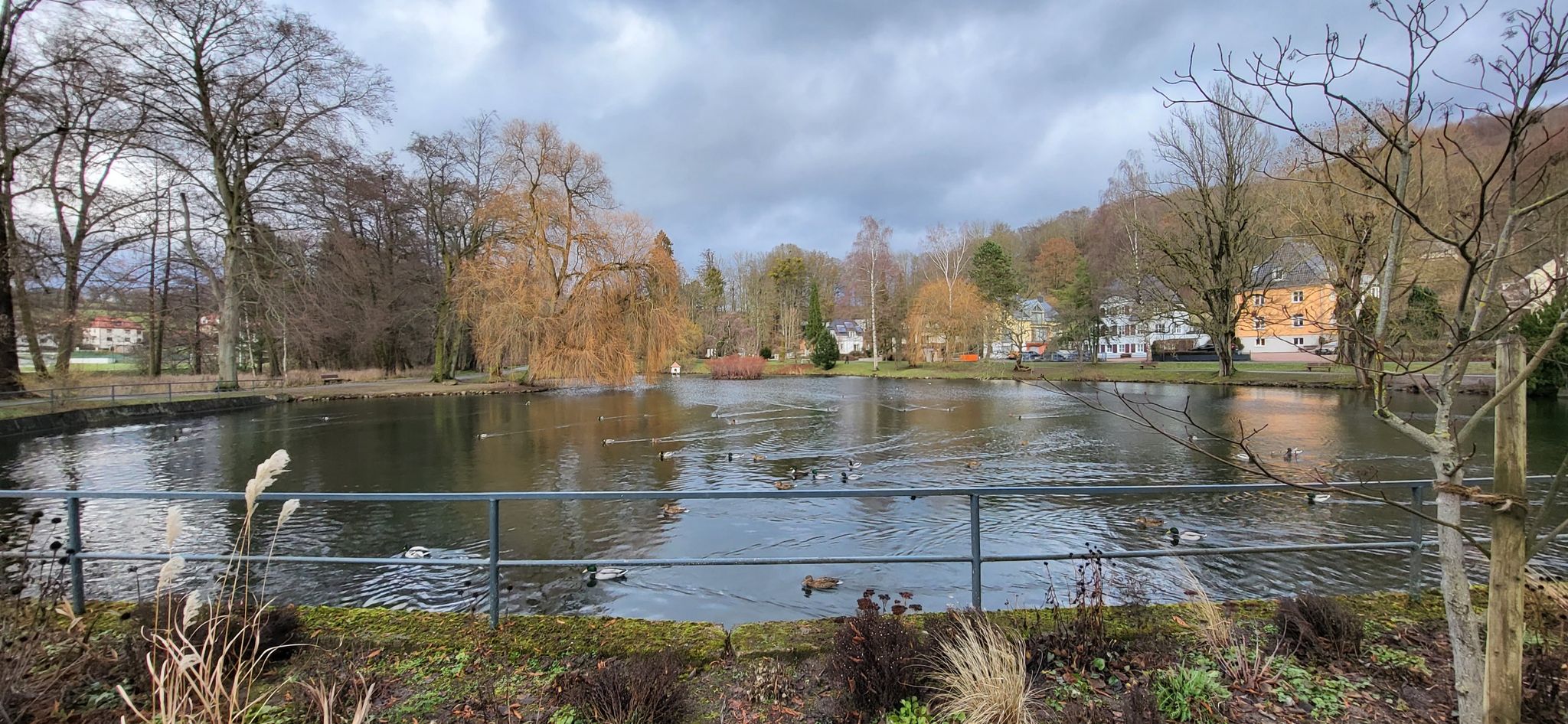 Teich