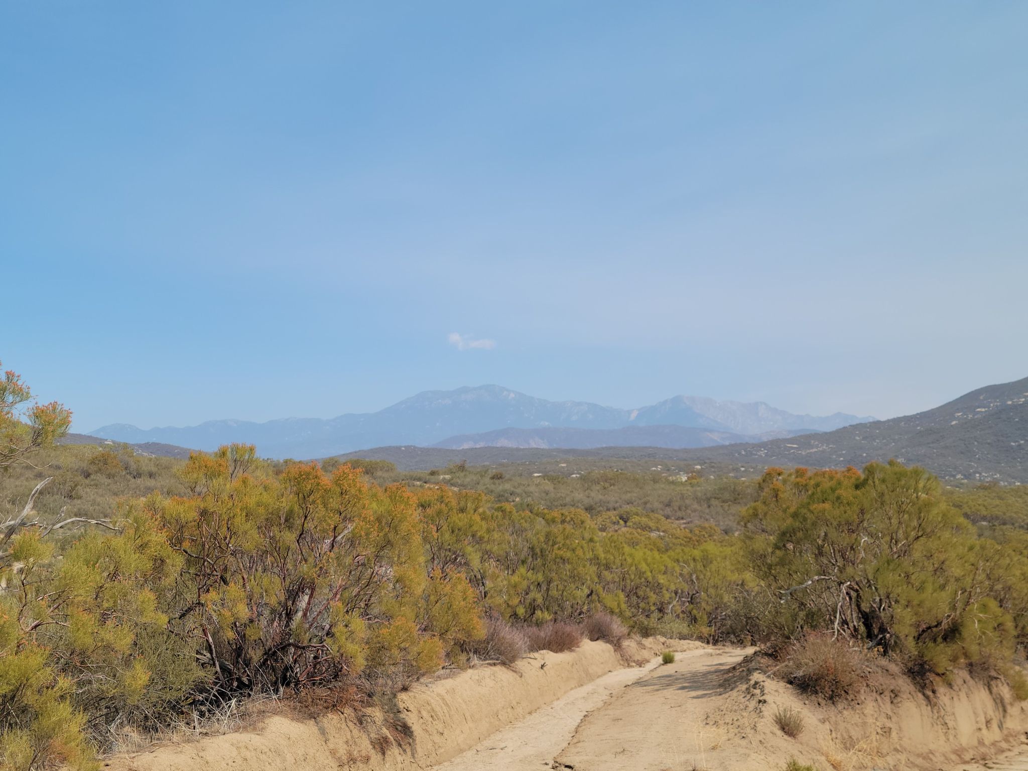 San Jacinto mtns