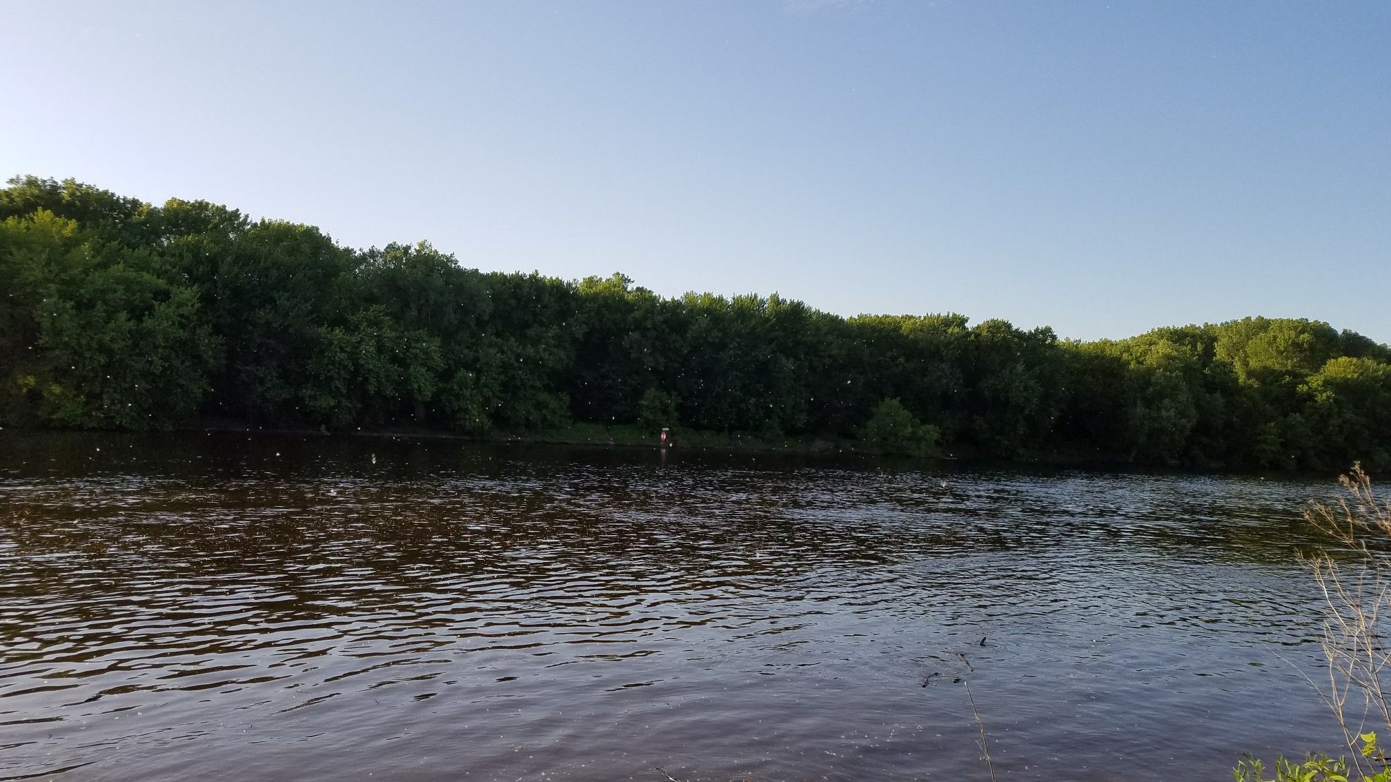 Wide river with distant green trees under a clear blue sky. - Pike Island Trail