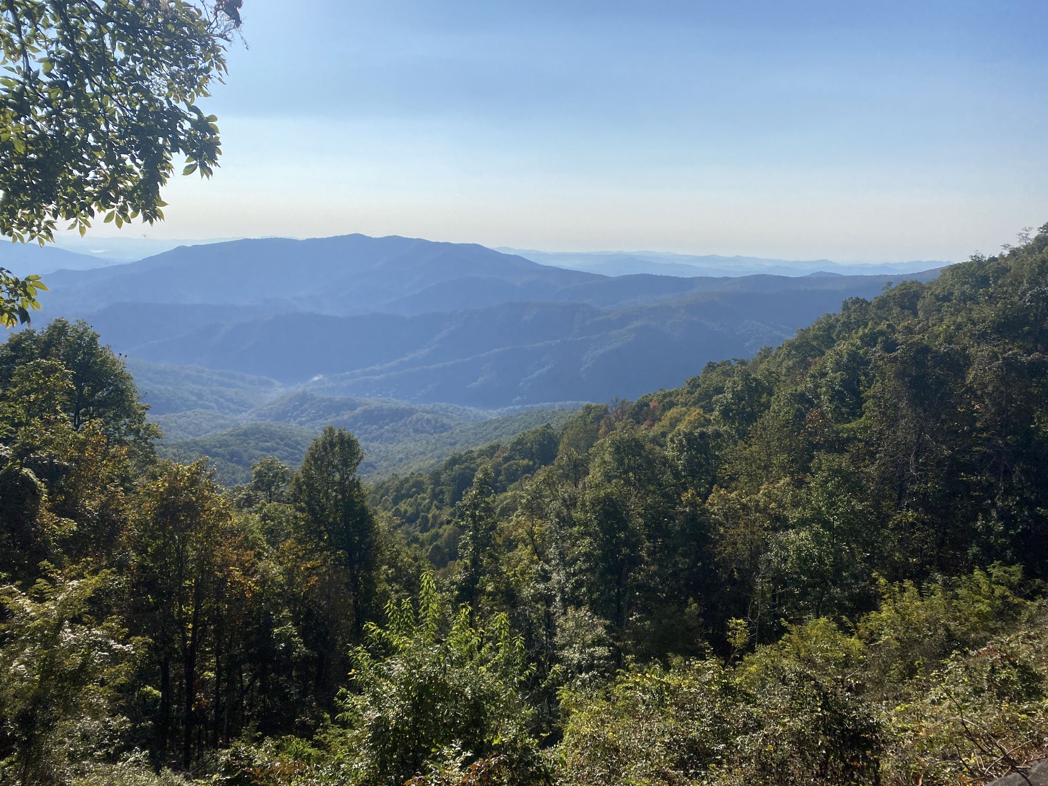 Dense green forest in the foreground, hazy blue mountains in the distance. - Mountains to Sea Bicycle Route: Blue Ridge Parkway