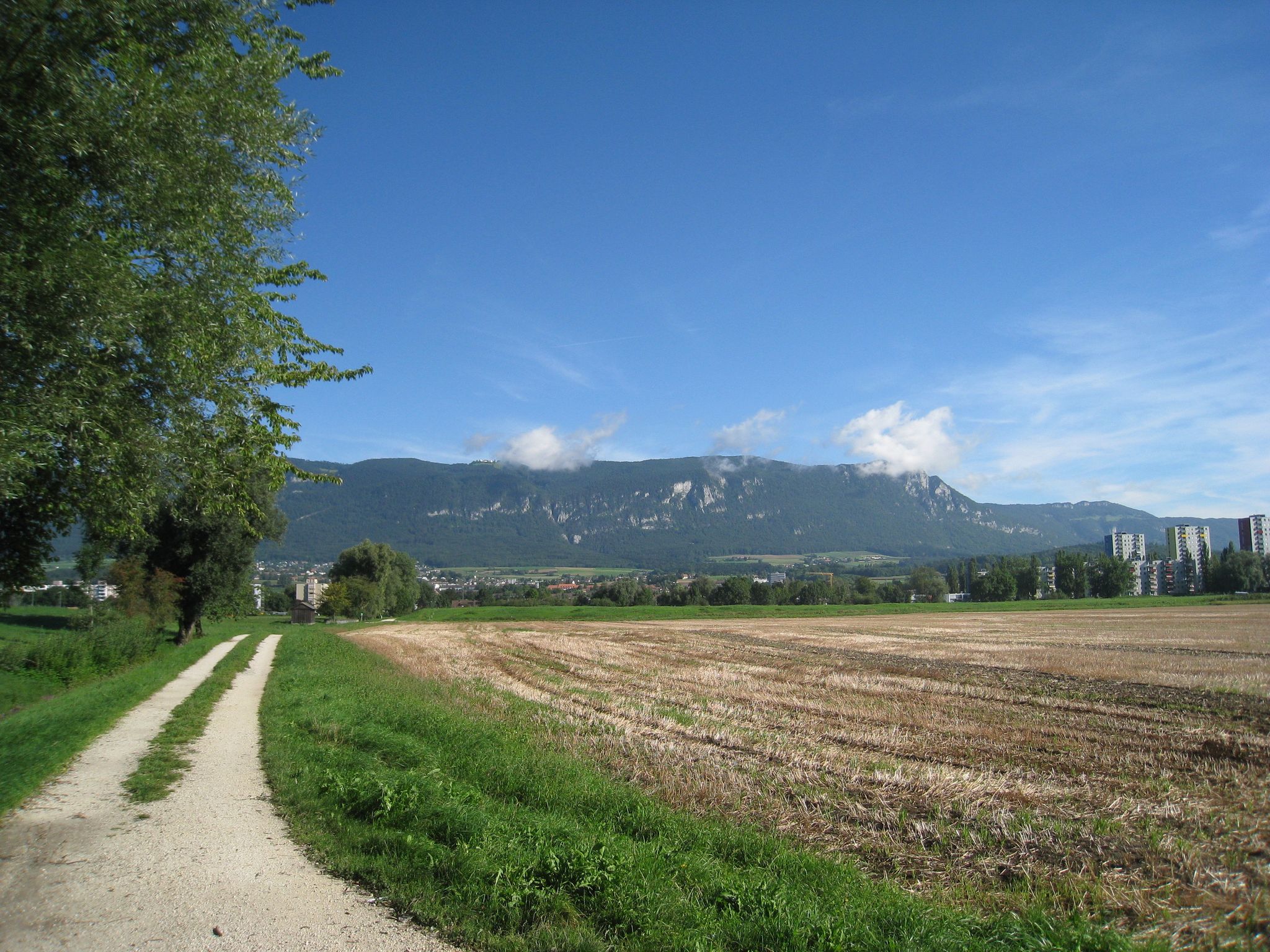 Weissenstein