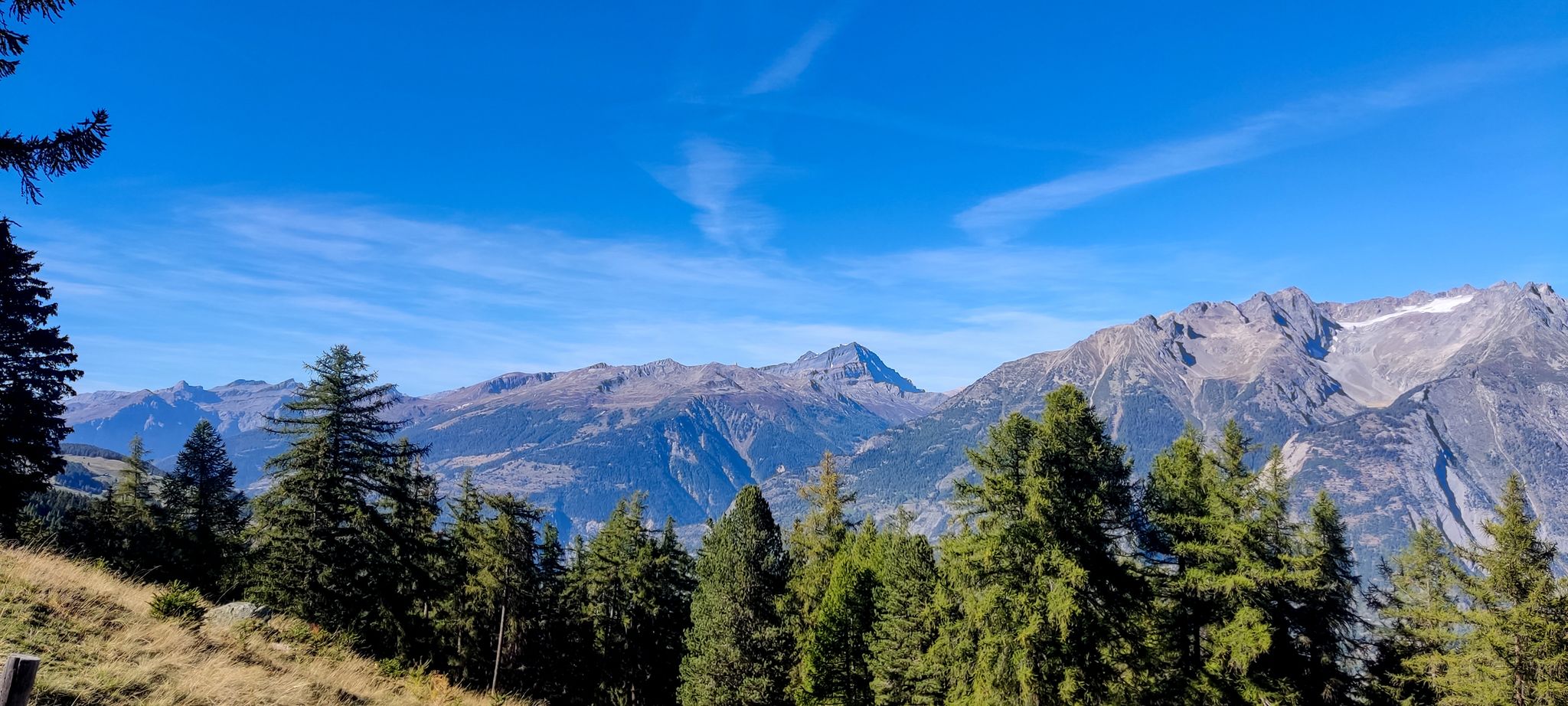 Standort Waldstafel