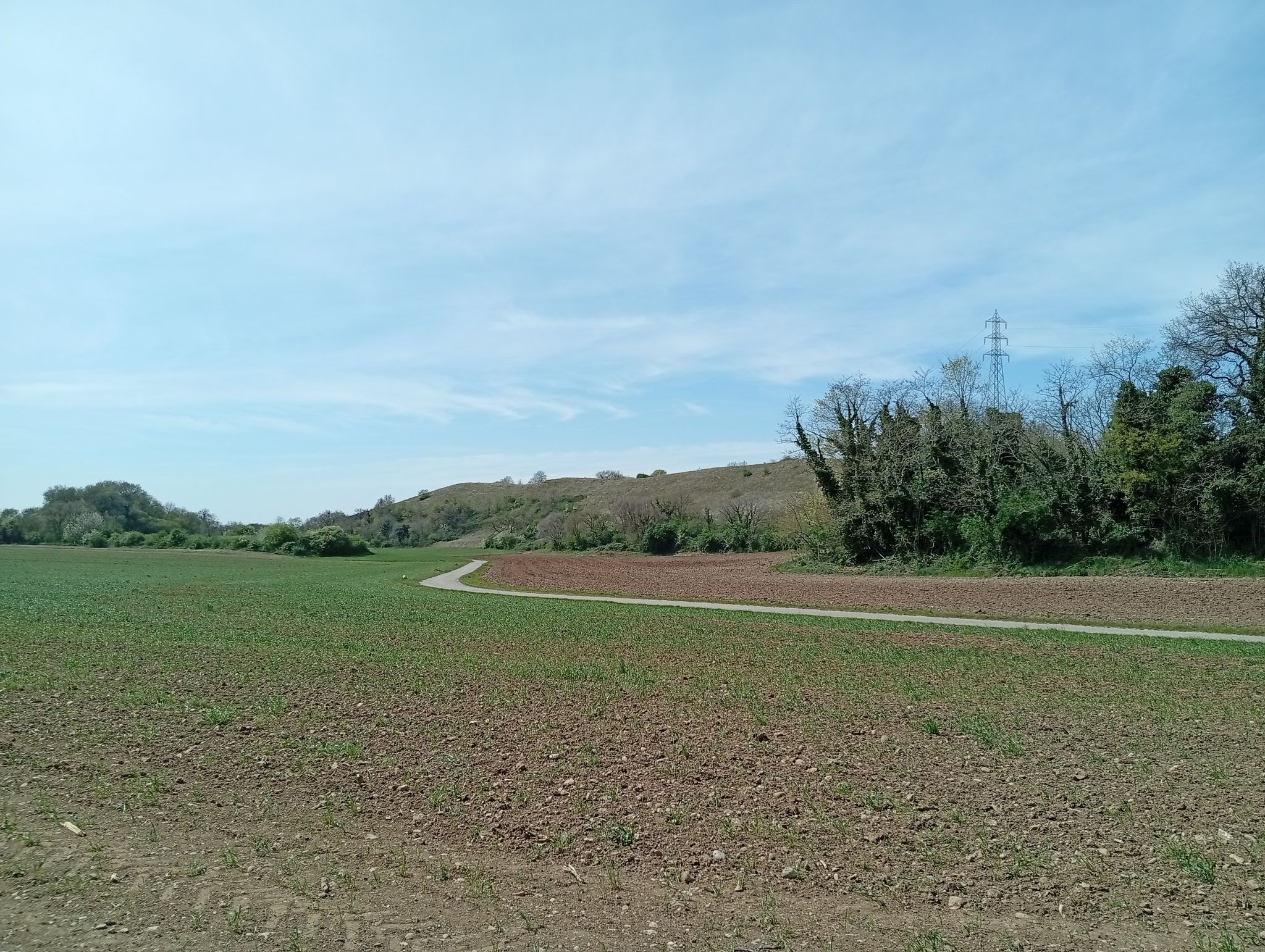 bella pianura incontaminata