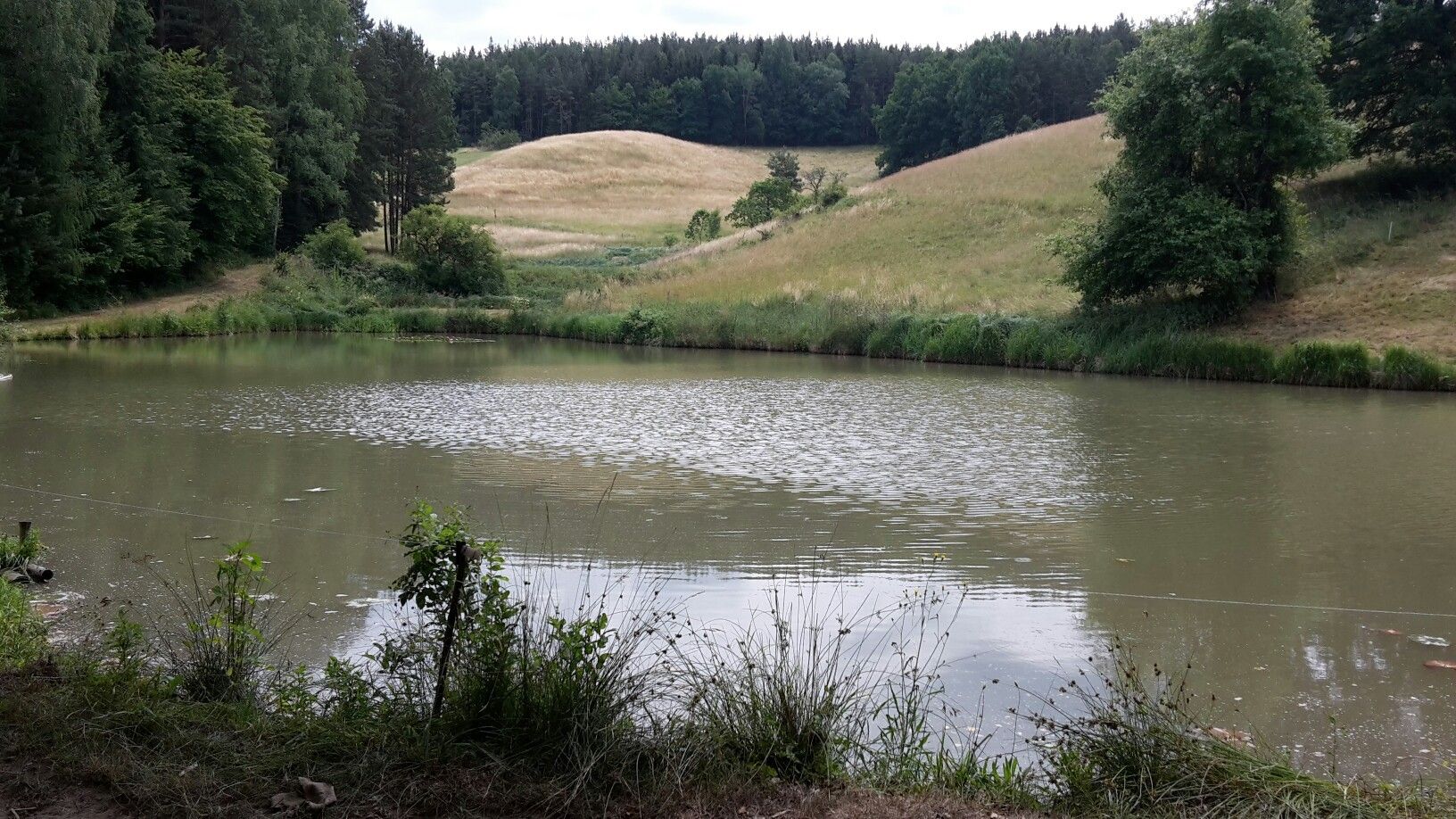 Teich bei Langenschade