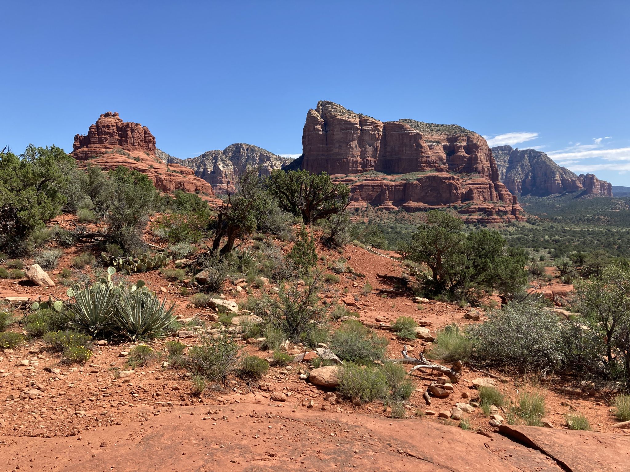 Sunny desert landscape with red rock formations and sparse green vegetation. - Slim Shady and Made in the Shade Loop