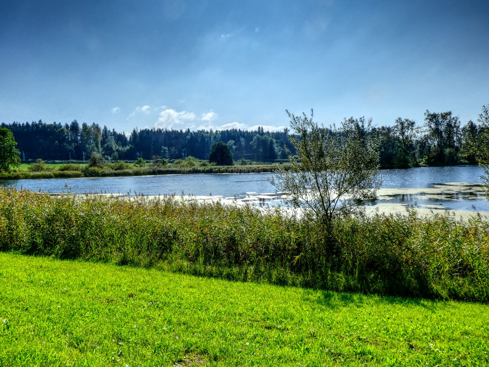 Weißensberger Weiher