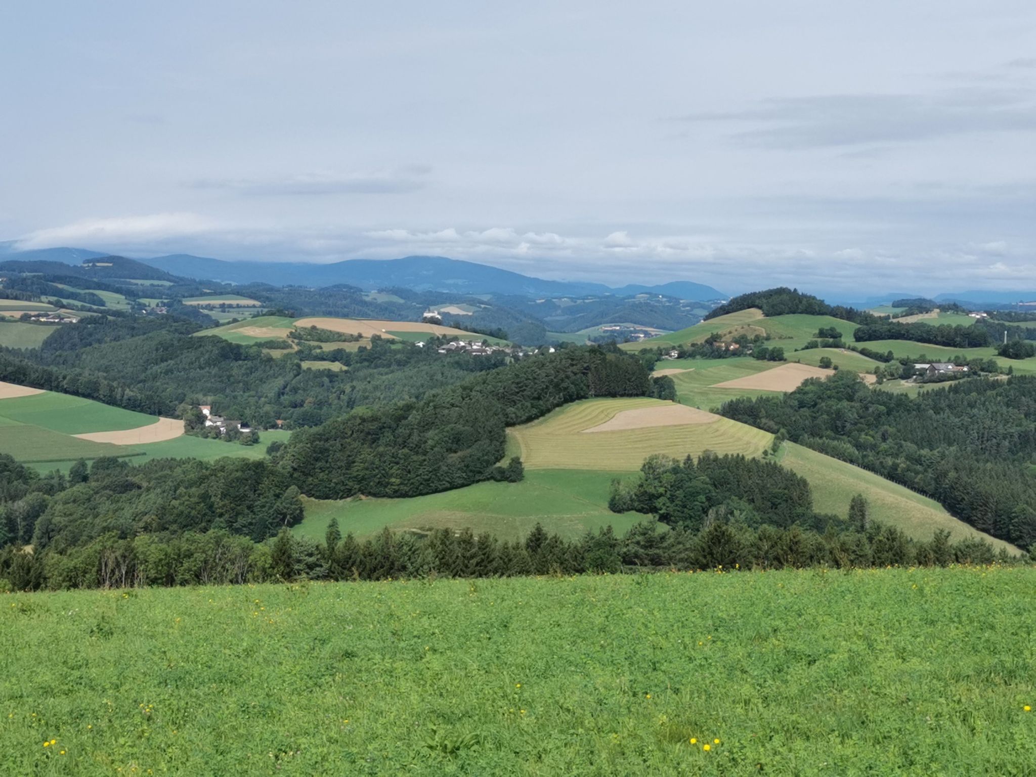 Sicht auf die Burg Krumbach