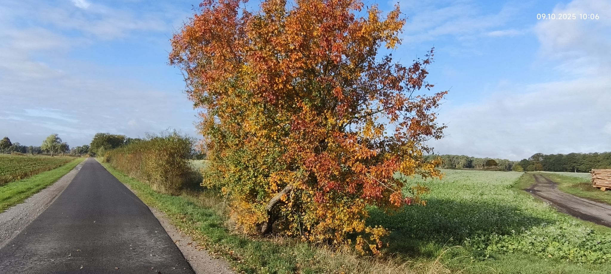 Herbst 🌞
