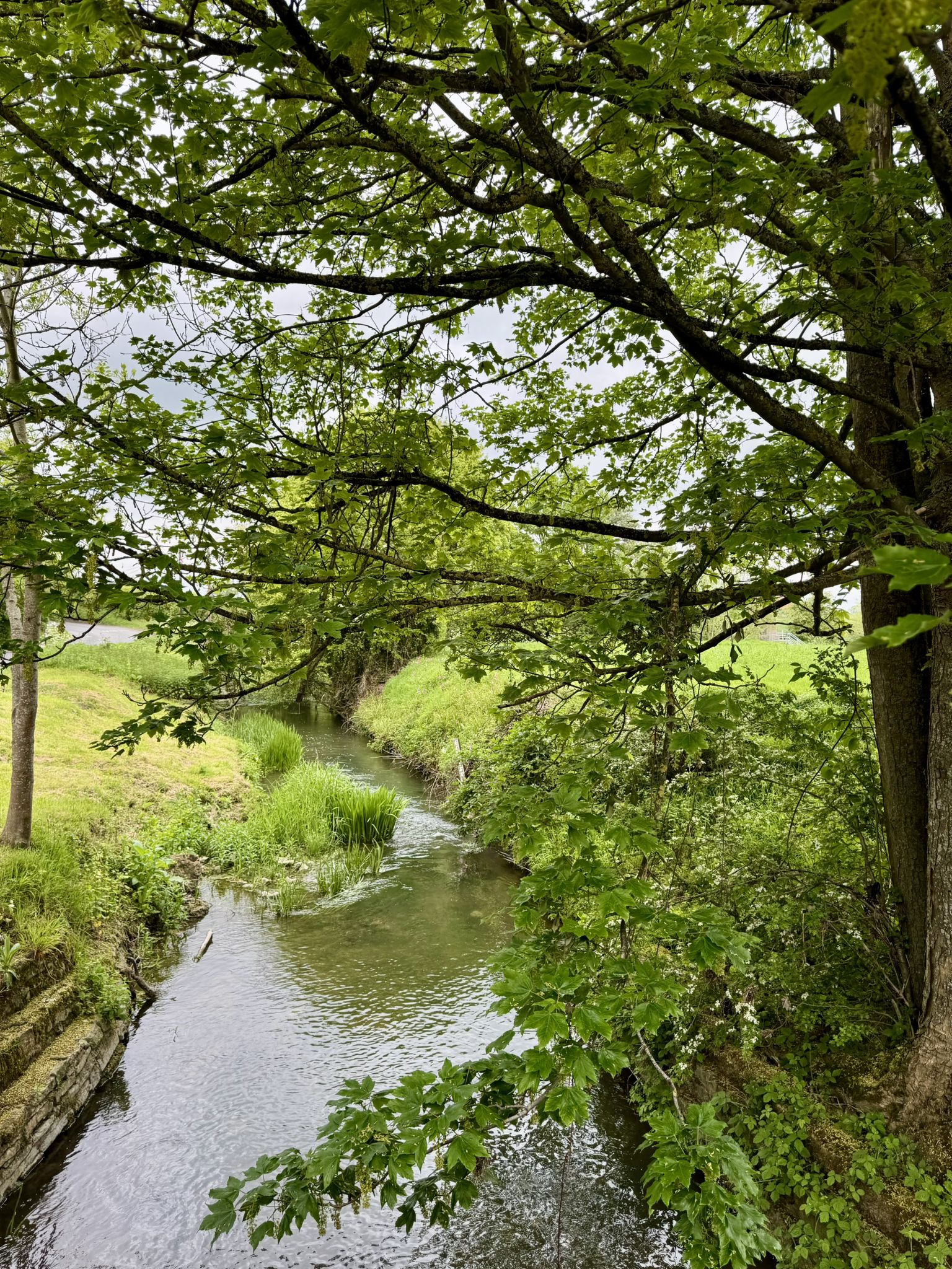 River Isbourne