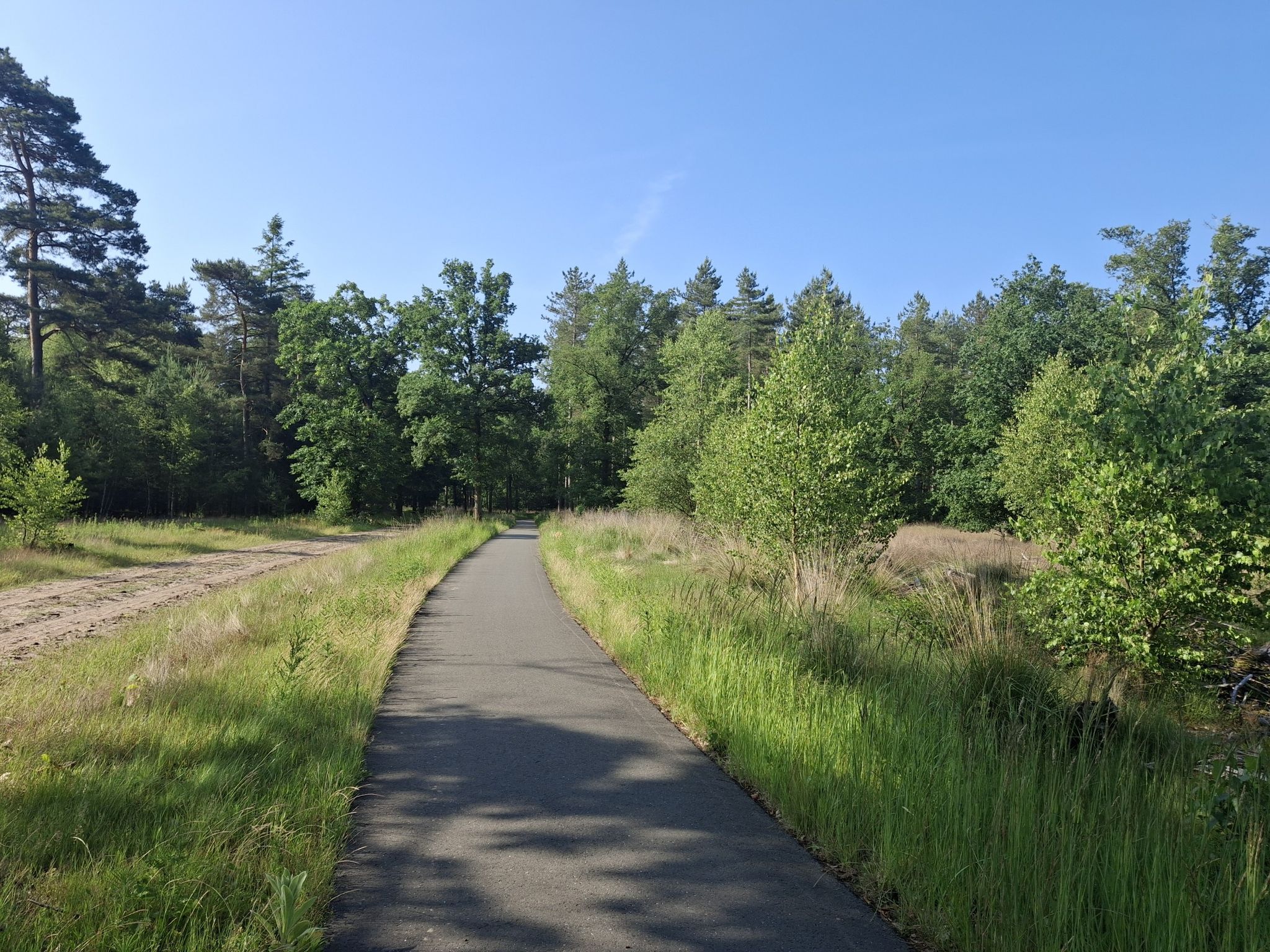 Leenderbos