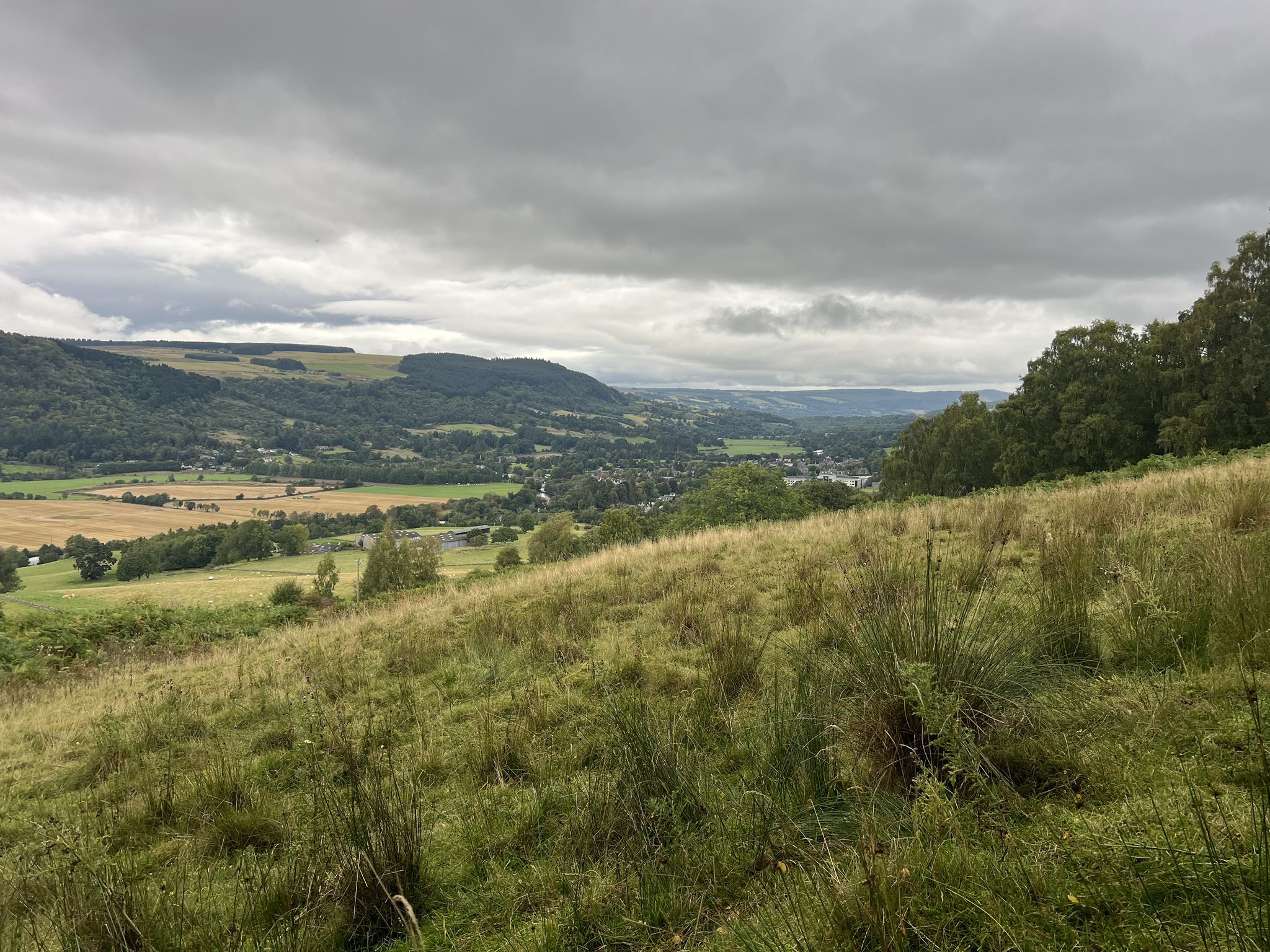 Aberfelby