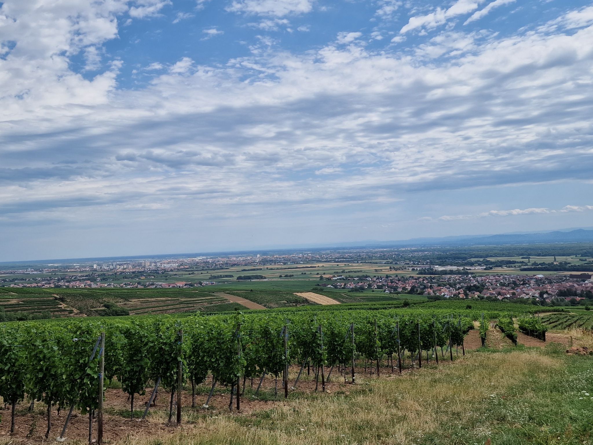 Rechts ist Eguisheim, links Colmar