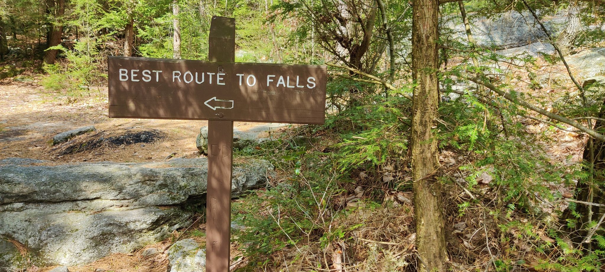A wooden trail sign points "BEST ROUTE TO FALLS" in a sunny forest. - Glen Onoko Falls and Lehigh Gorge Overlook Trail