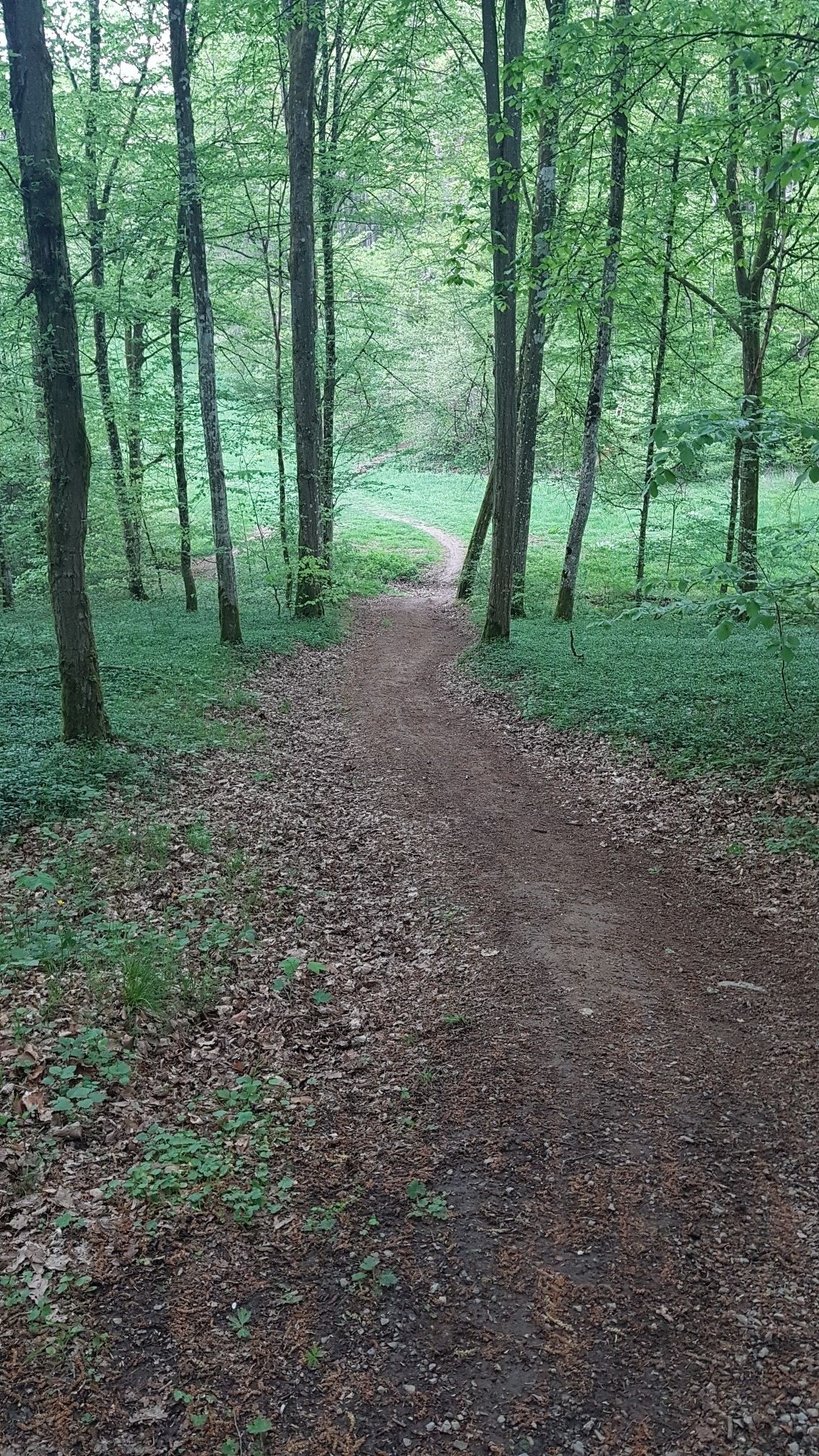 Berg auf