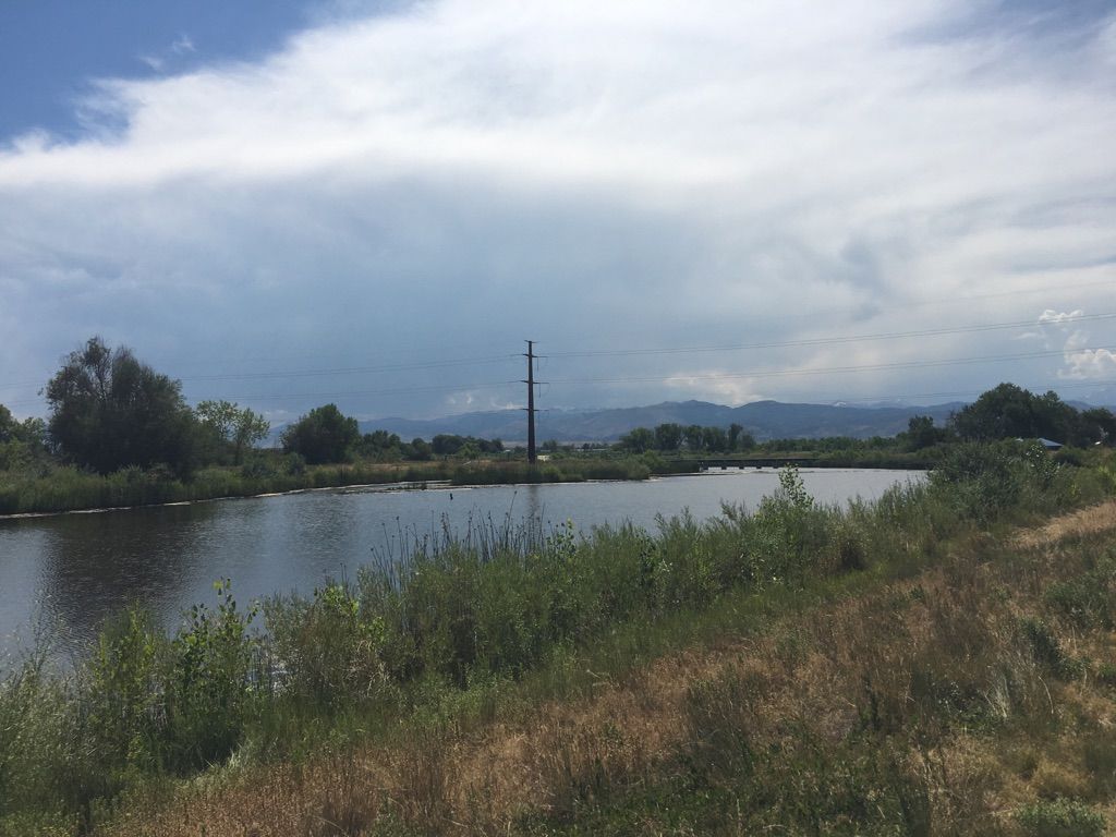 Calm water with grassy banks, distant mountains, and a cloudy sky. - Longmont Loop - South