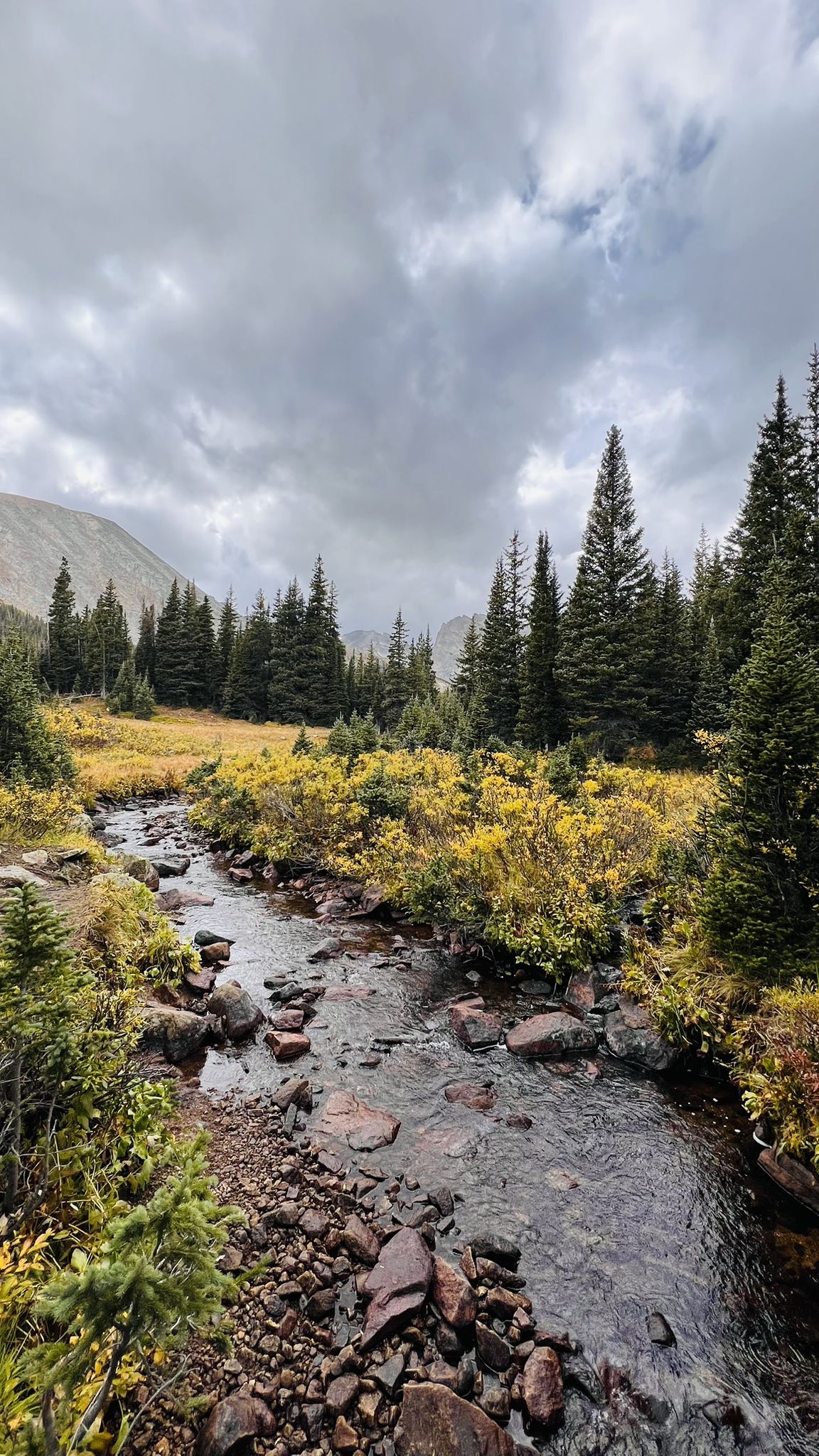 Stream flowing through a golden meadow with pine trees, under a cloudy sky. - Lake Isabelle via Pawnee Pass Trail
