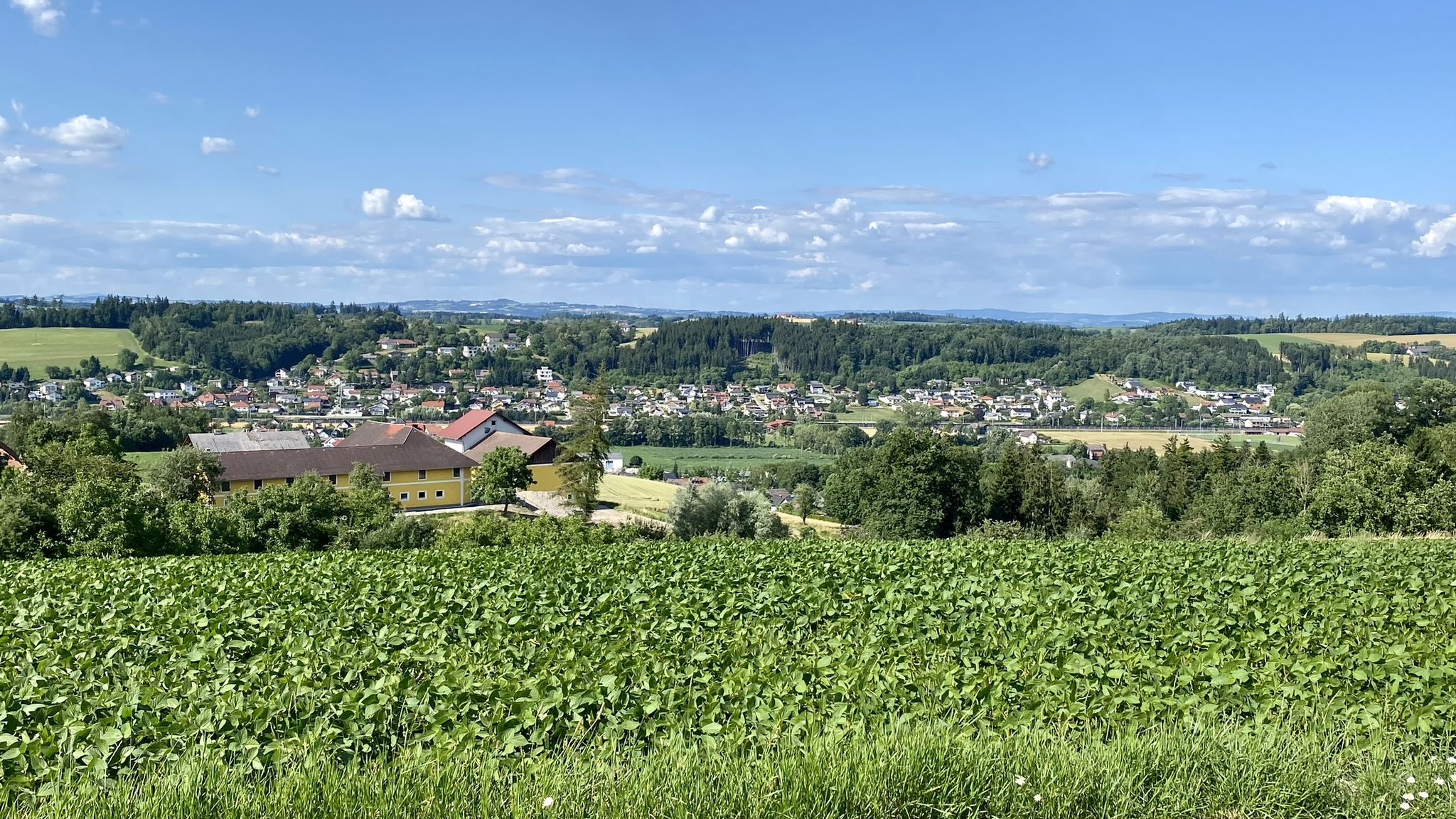 Straßfeld/Trattnachtal