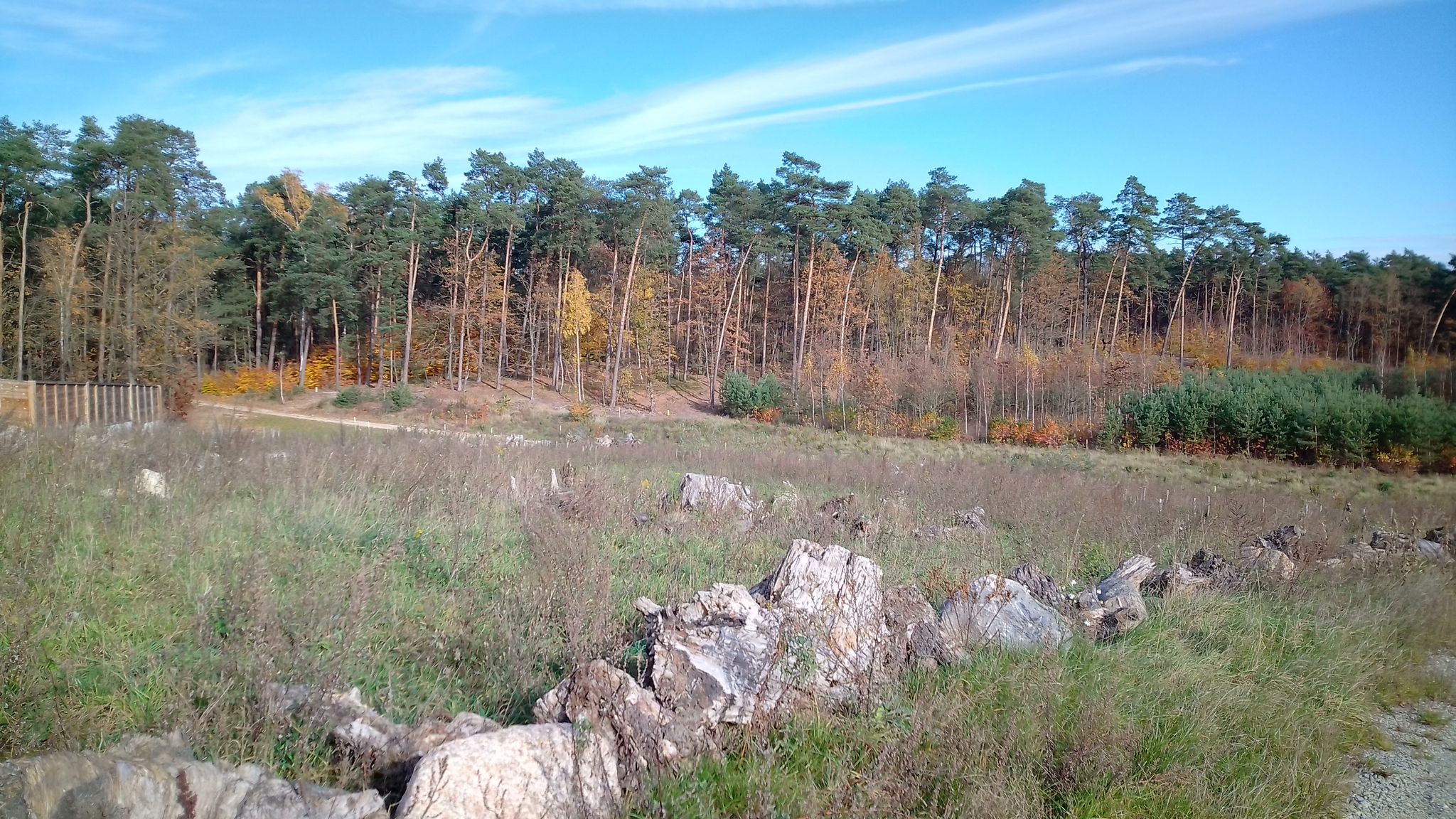 Przejazd nad ekspresówką