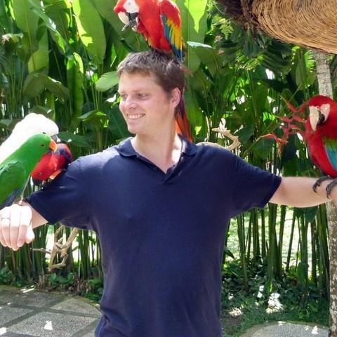 user avatar