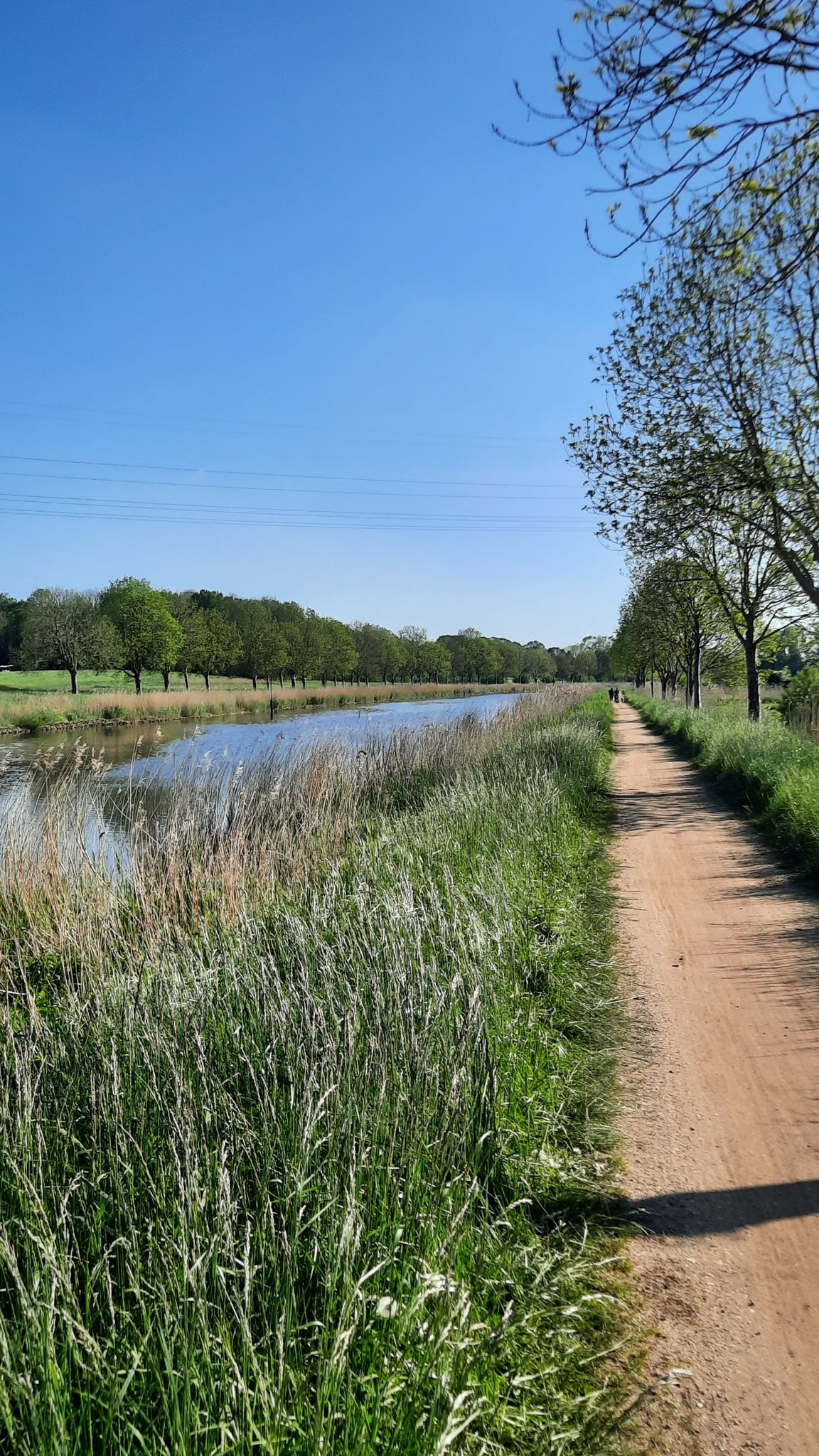 am Elbe-Lübeck Kanal