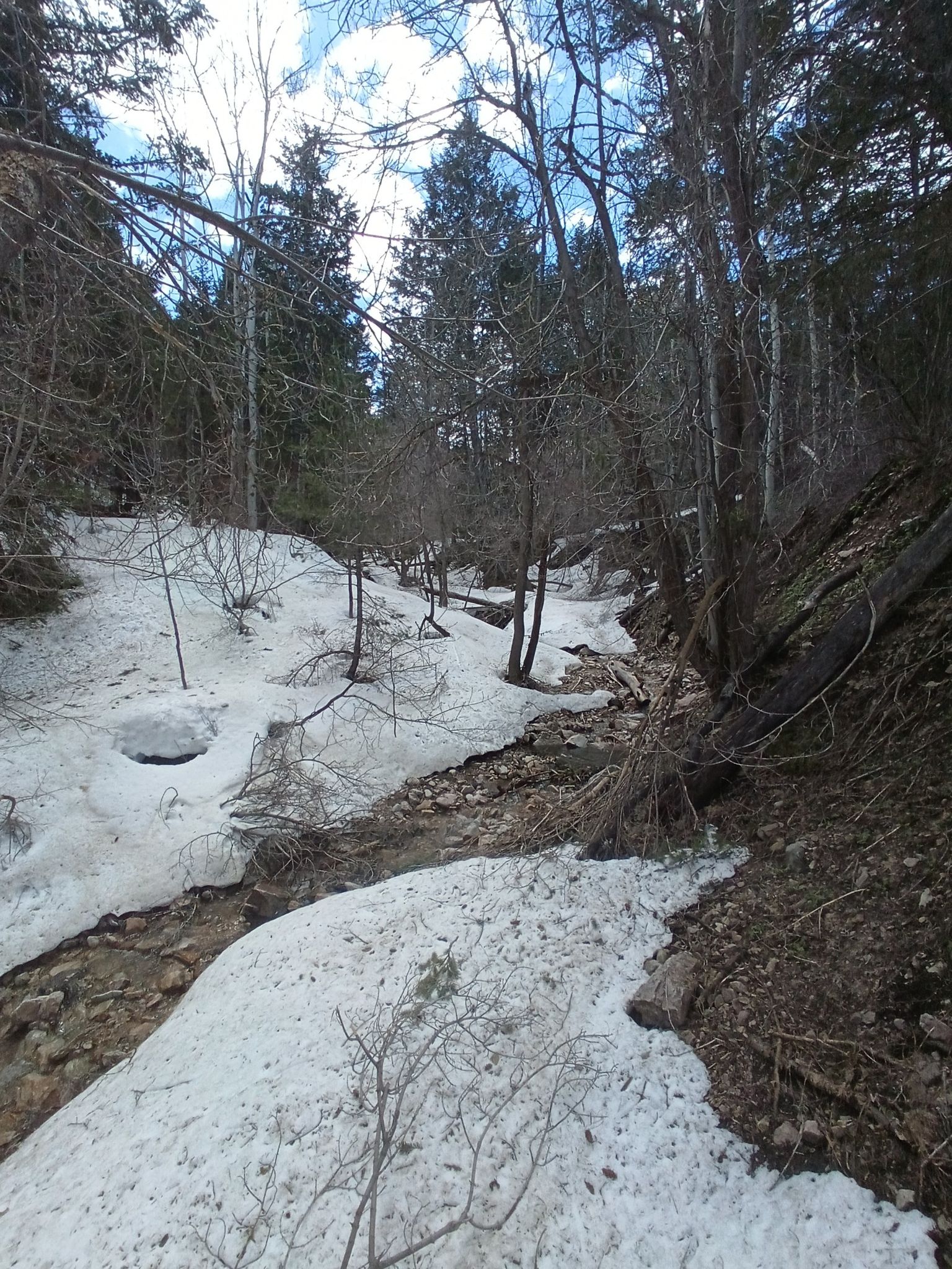Narrow stream flowing through a snowy forest with bare and evergreen trees. - South Willow Lake and Stansbury Crest Loop