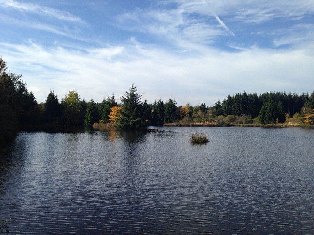 Urftweiher