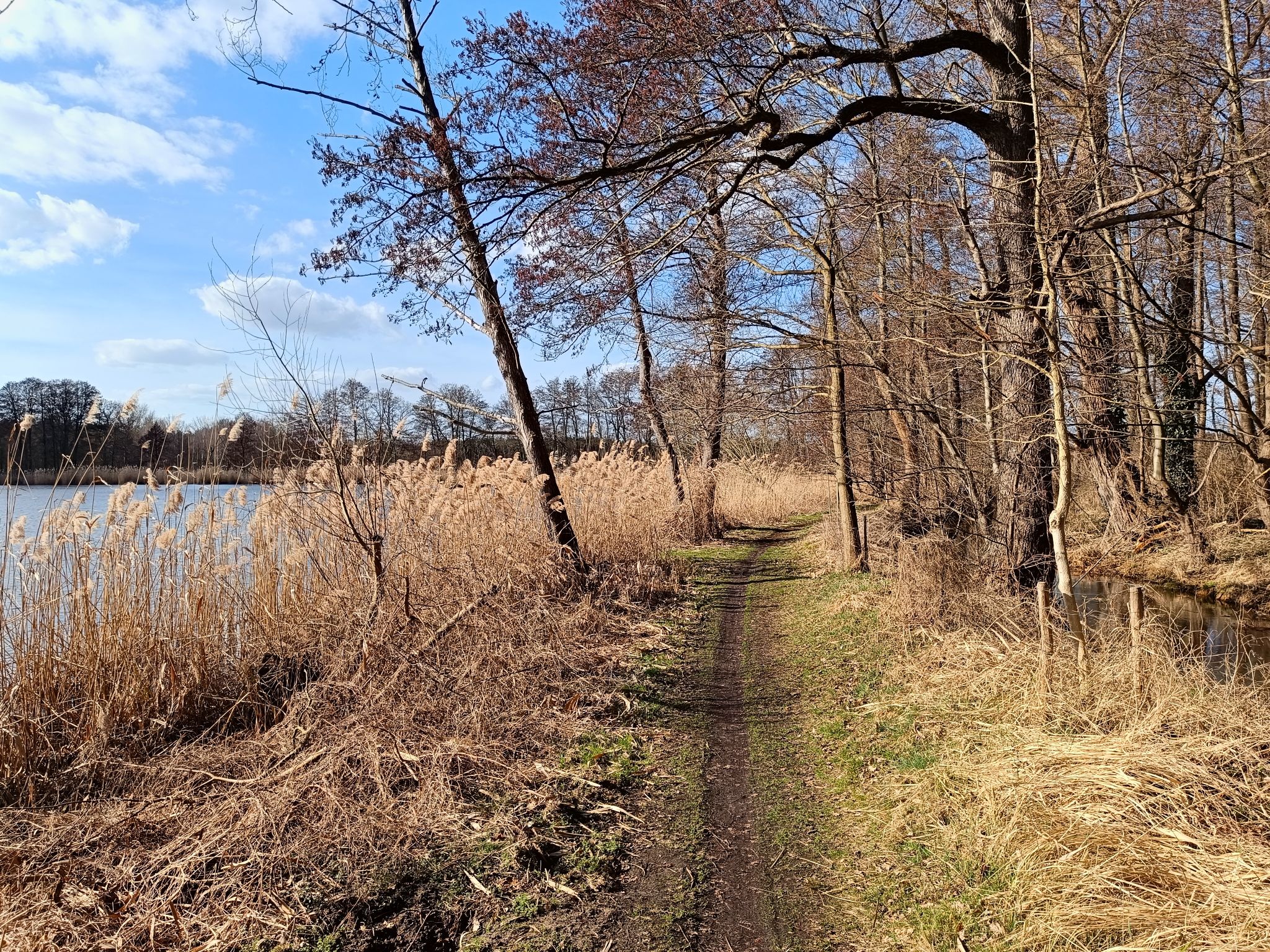 Zernausee in Mützel