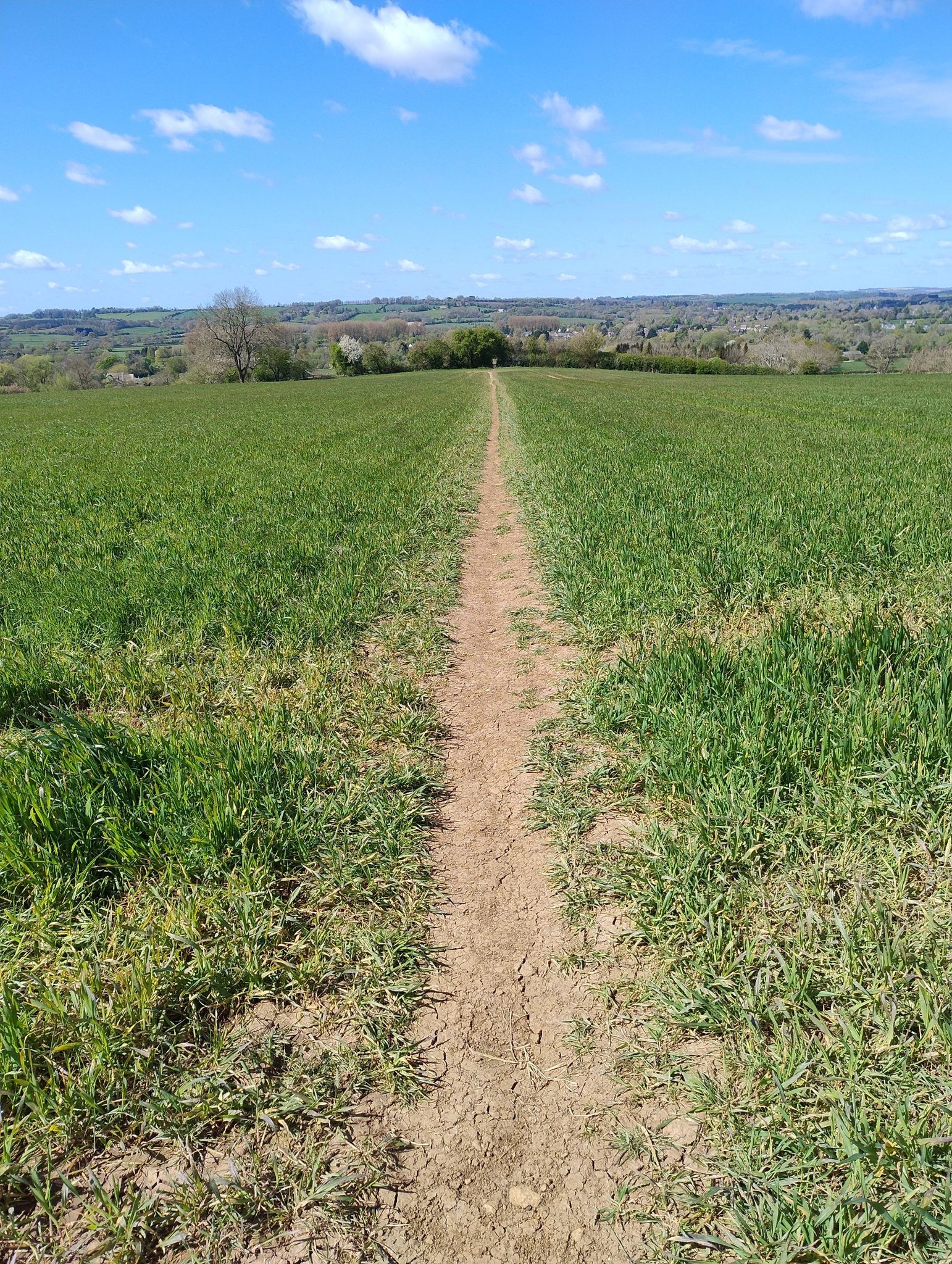 field path