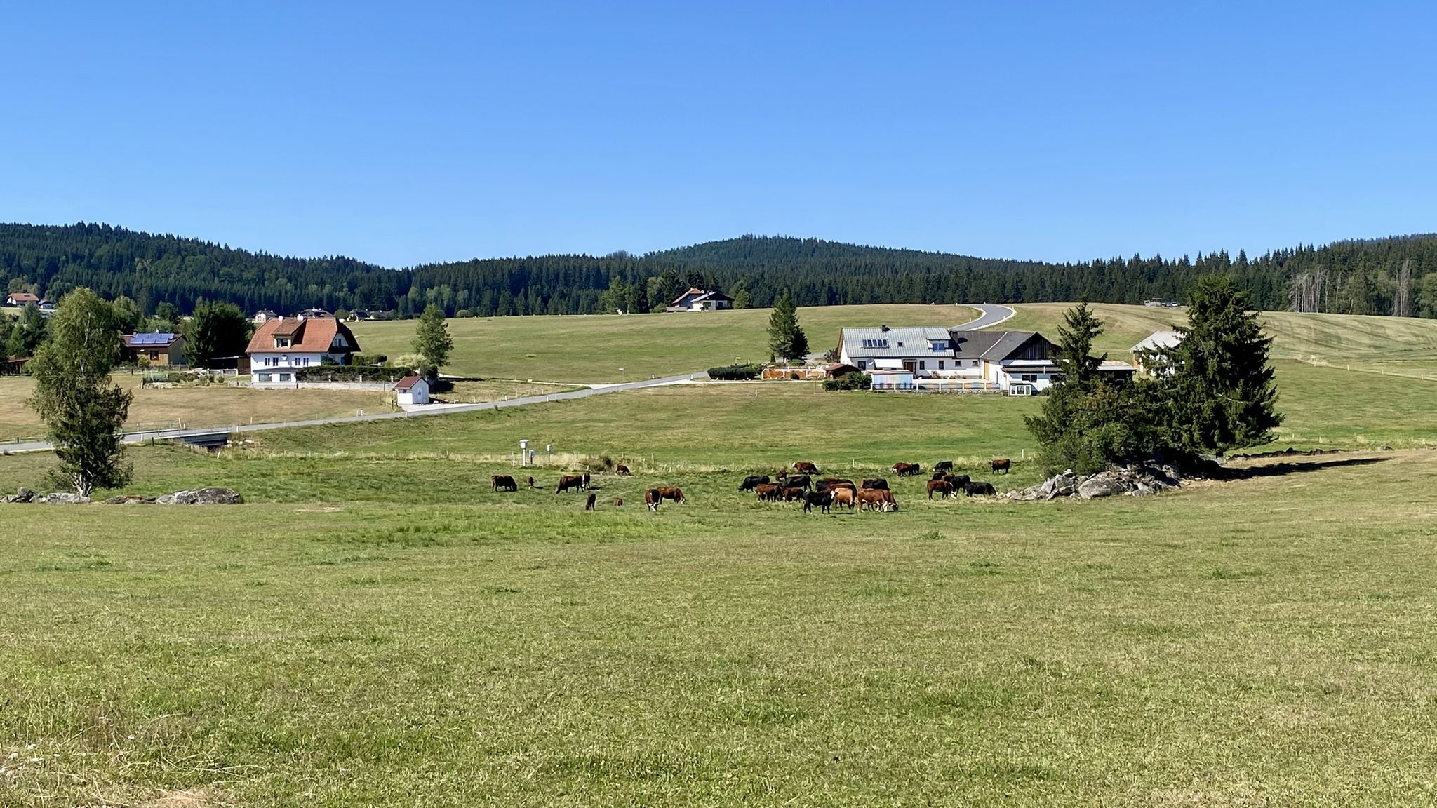 Kältepol Gugu - Senke Schwarze Aist