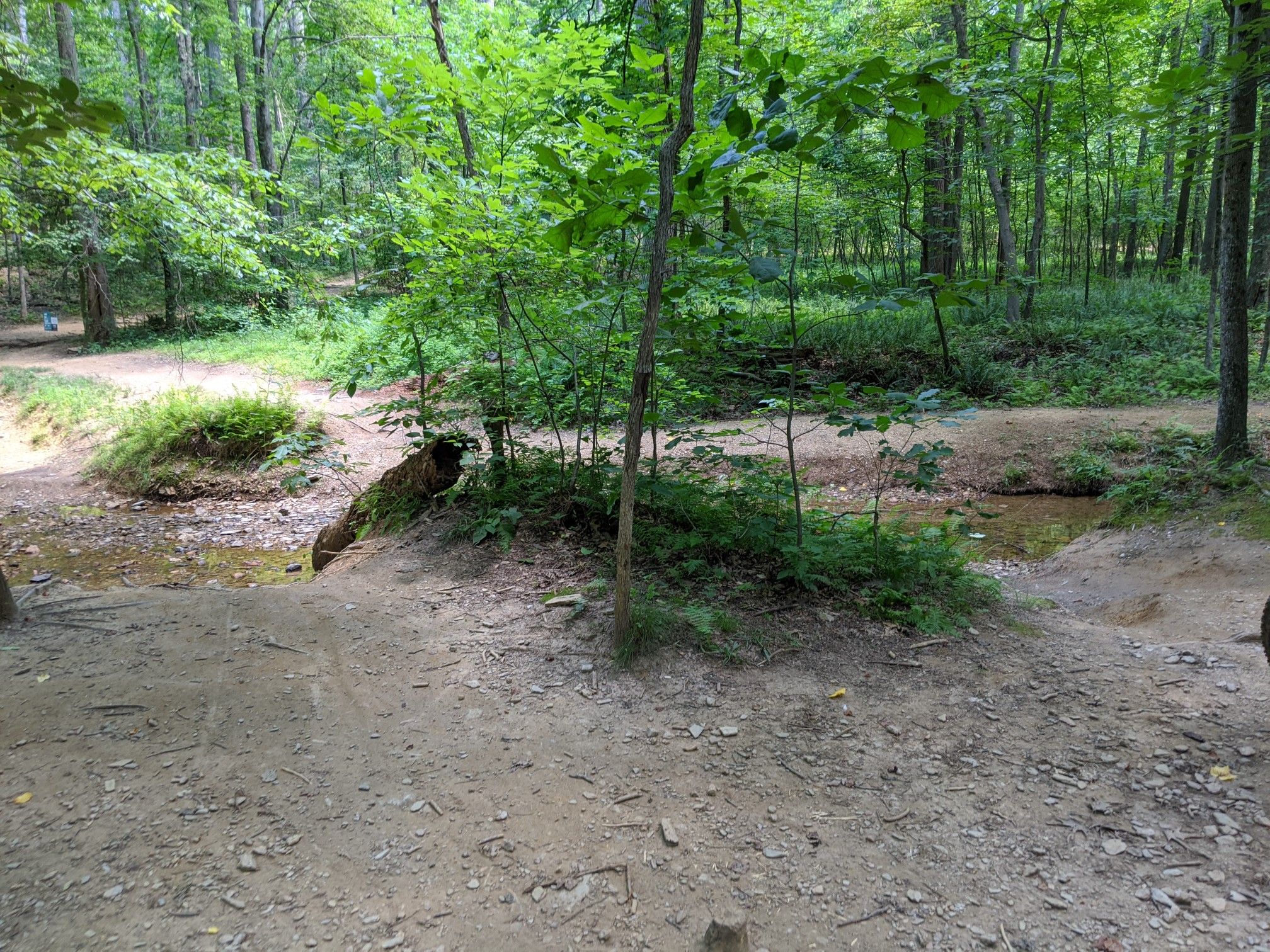 Dirt path through a lush green forest with a small stream. - Lake Fairfax Park Trail System loop from Colvin Run Stream Valley Park