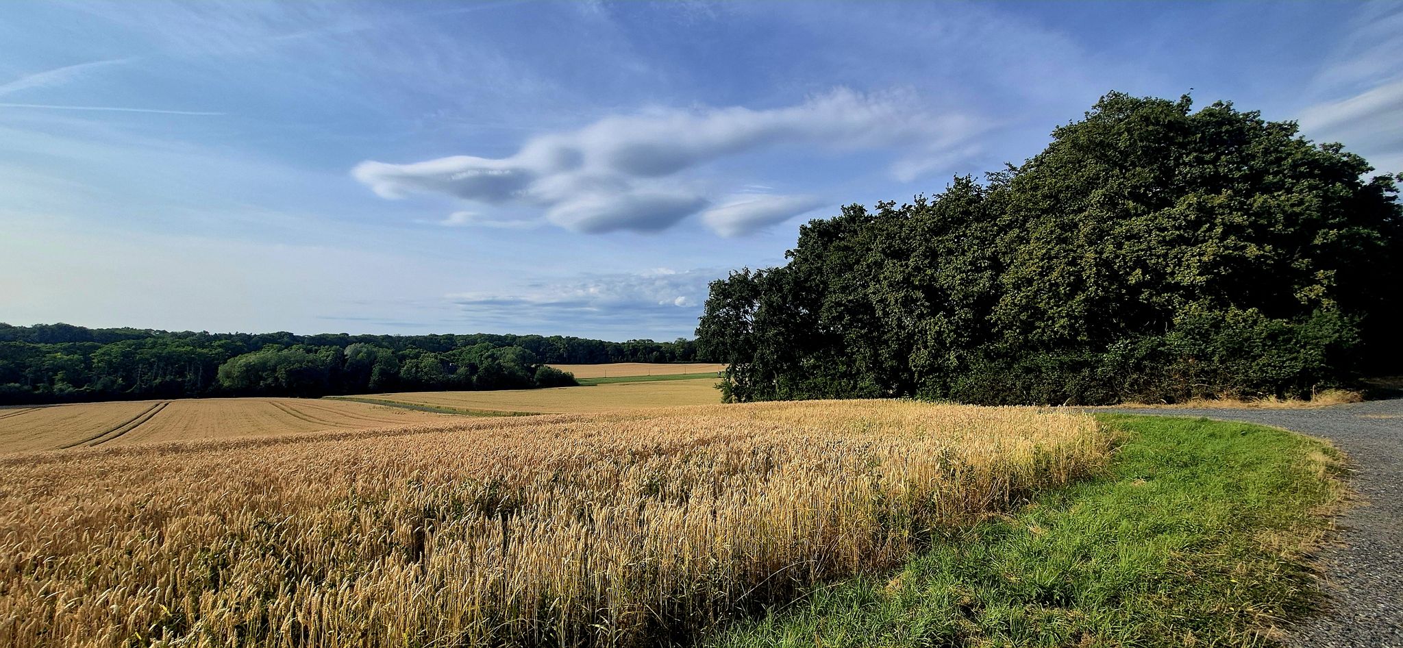 Man hat fast schon Aussicht!