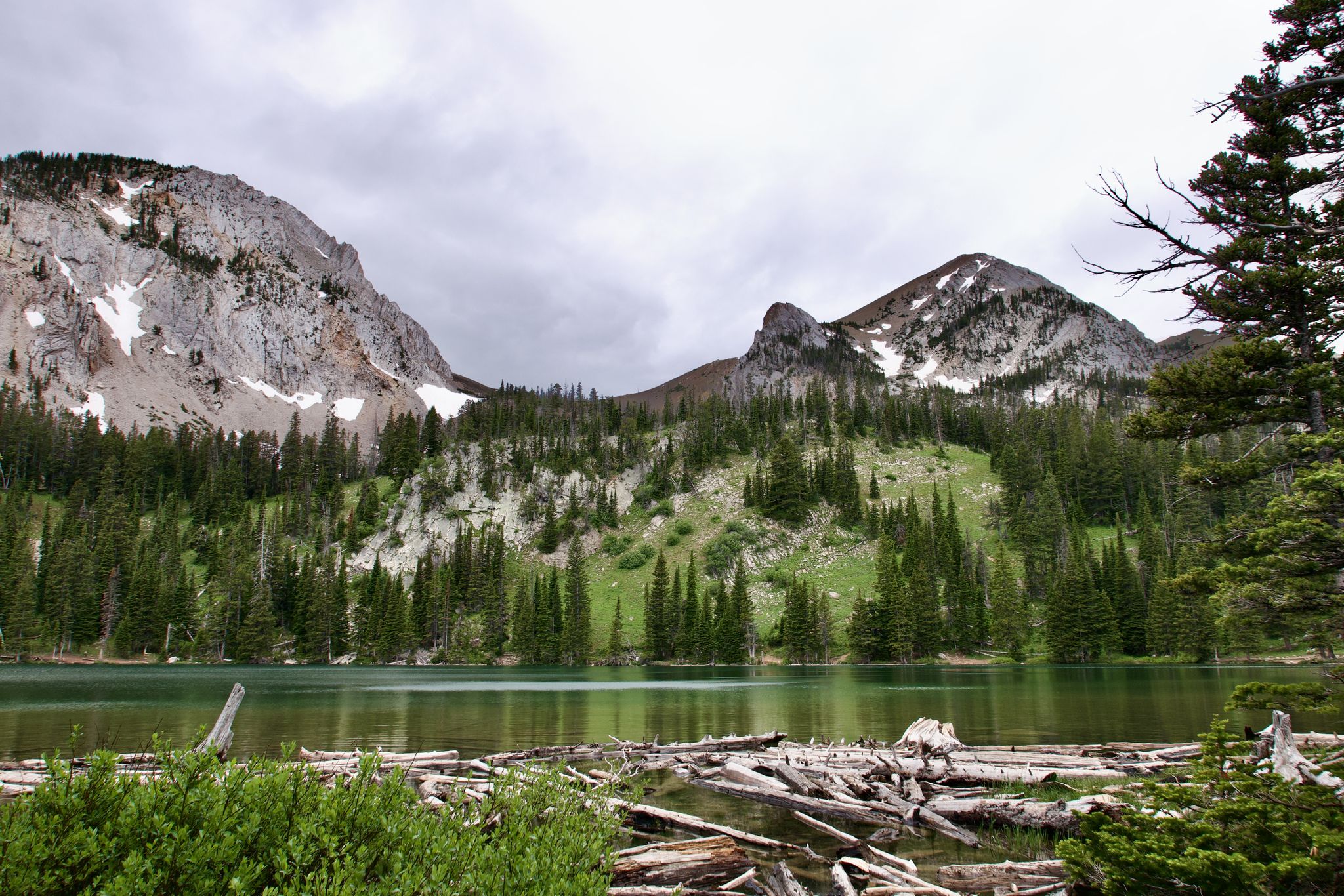 Overcast view of a mountain lake with driftwood, forest, and rocky peaks. - Fairy Creek Trail