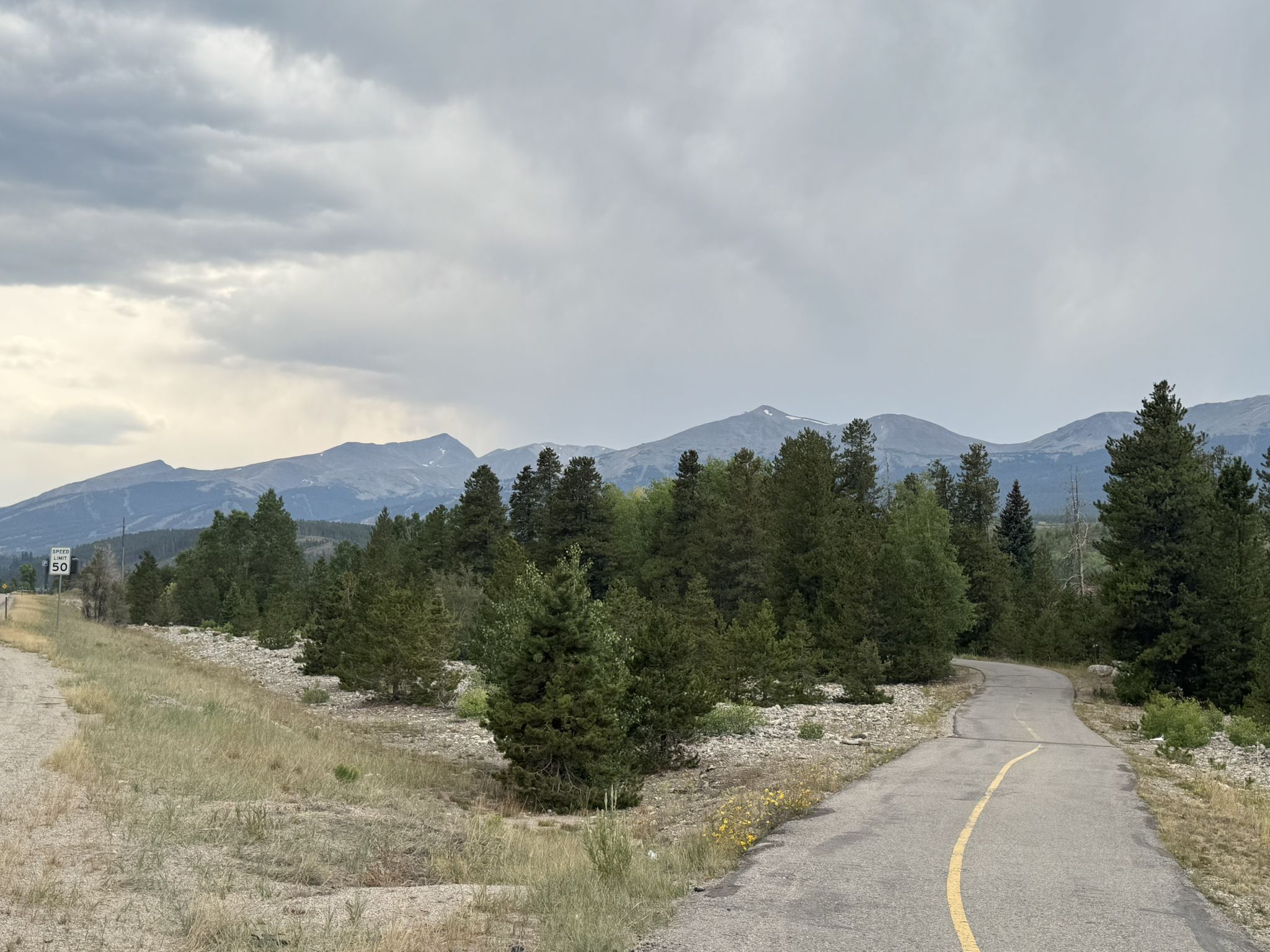 A paved path forks through pine trees, with distant mountains under a cloudy sky. - Breckenridge – Breckenridge Peak 6 condos loop from Breckenridge