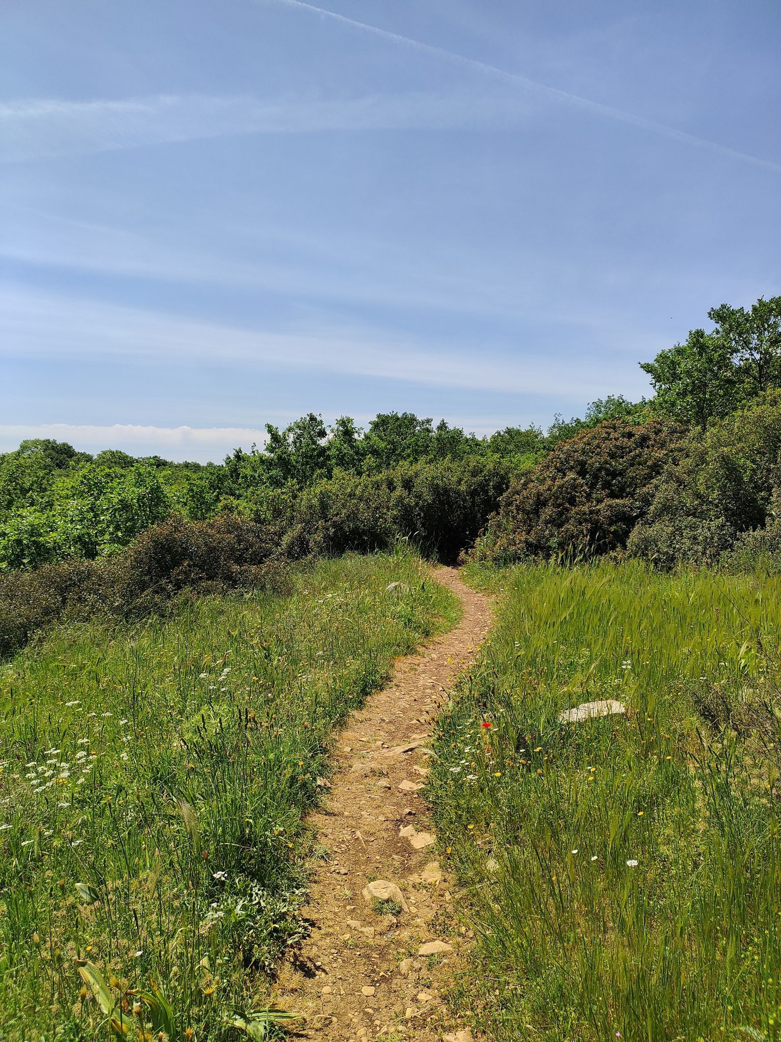 Tratturo dell'Annunziata