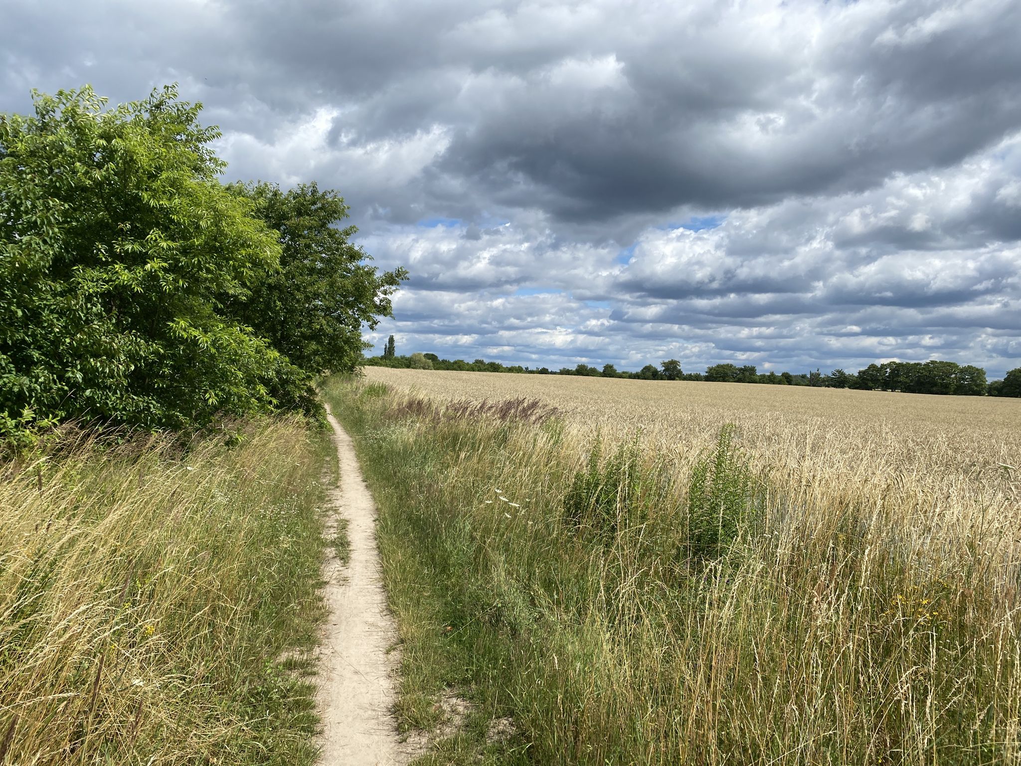 weg vom Mauerweg am Feld entlang