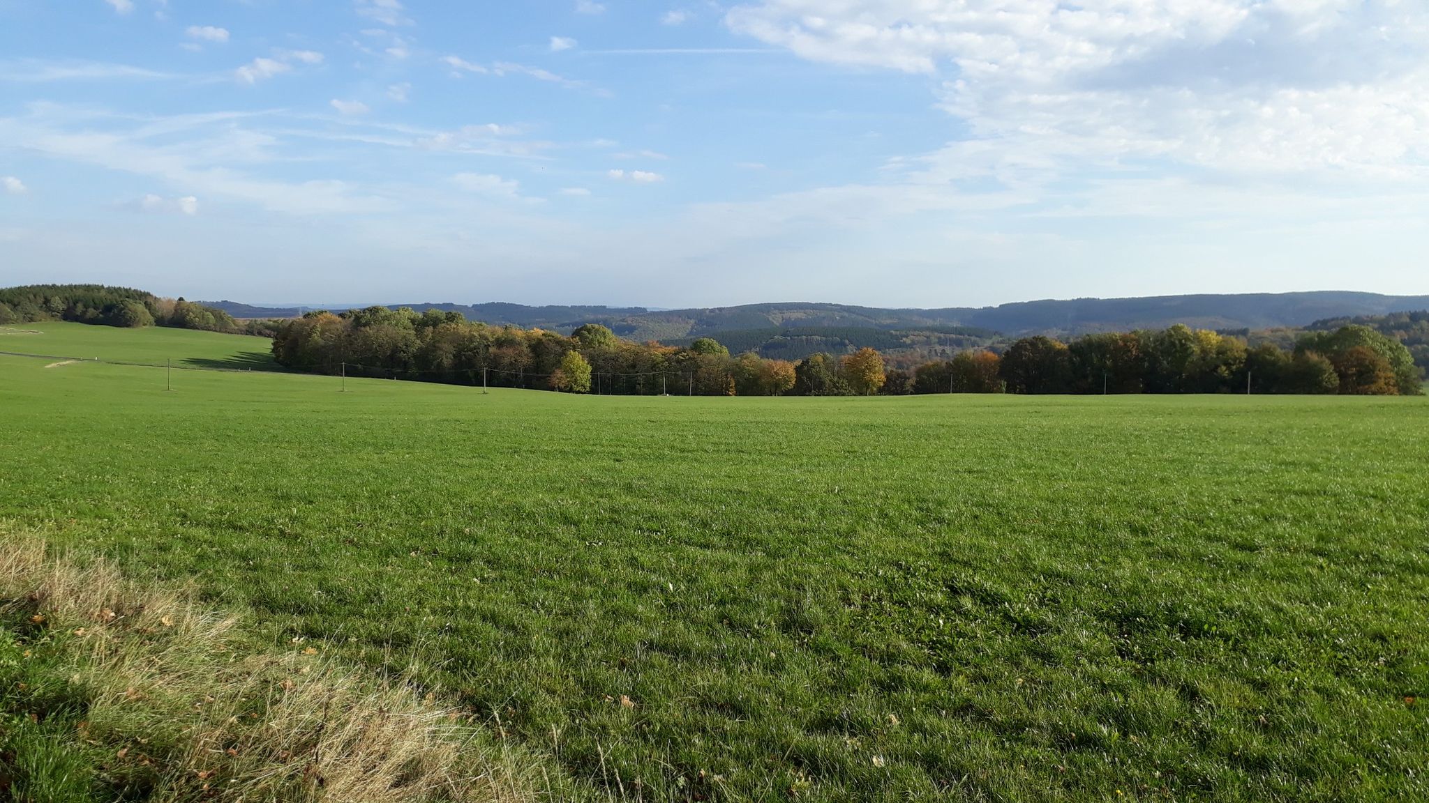 Weitefeld