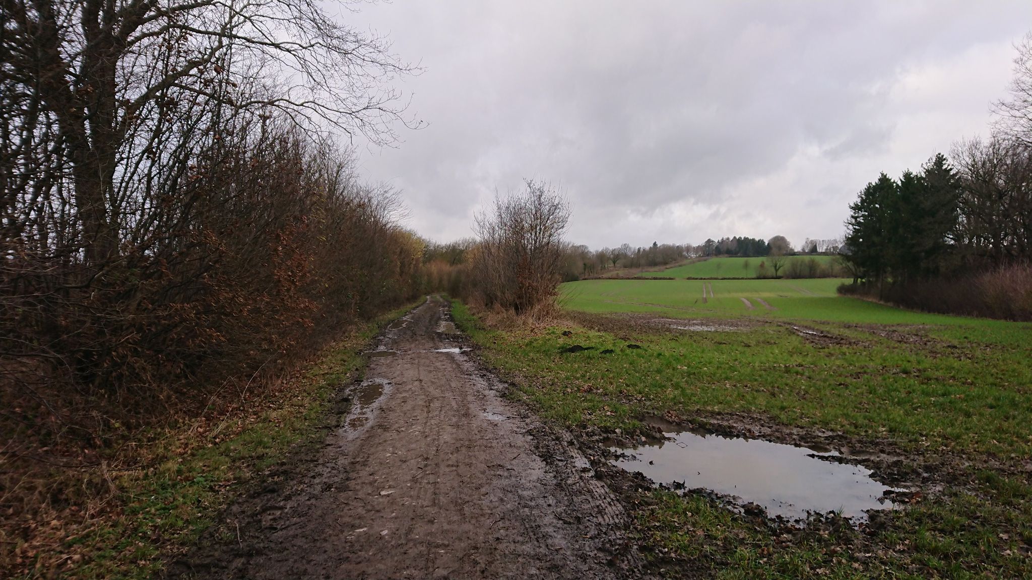 Horsdorfer Totenweg; Auffahrt zum Pariner "Berg" mit Blick auf selbigen