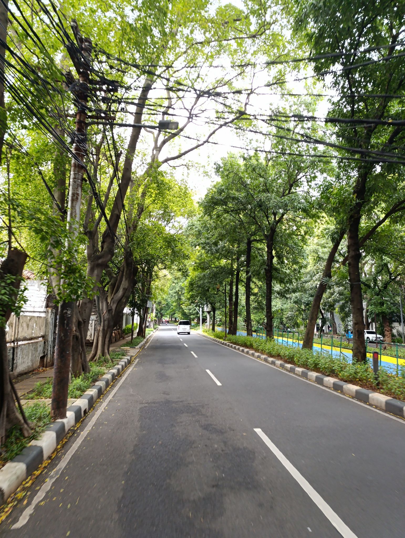 menteng jakarta pusat