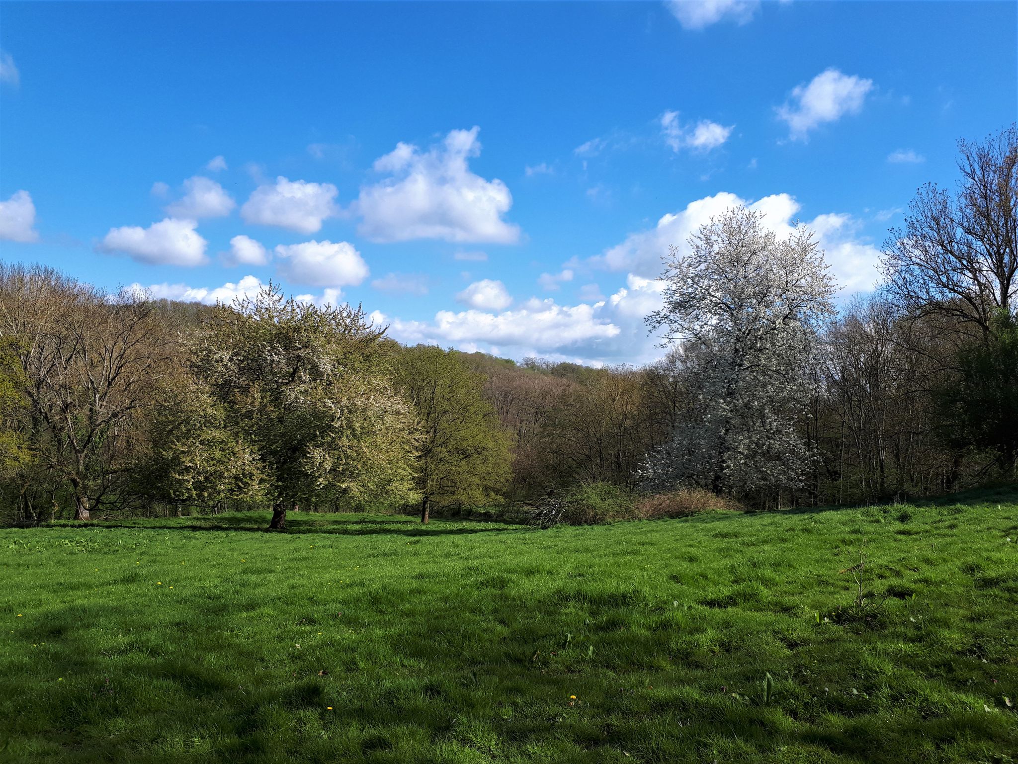 Vue très campagnarde