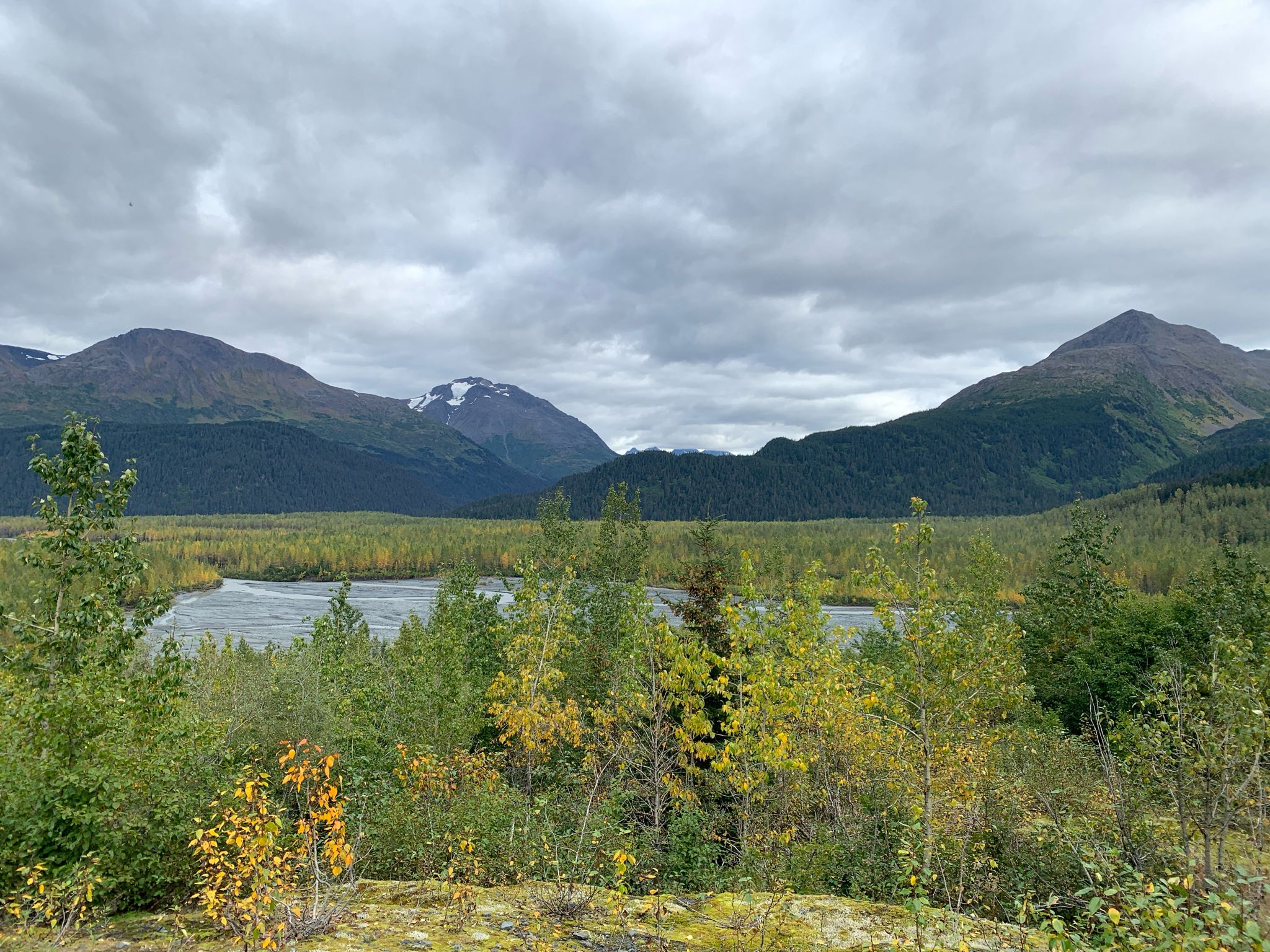 Overcast view of a lake surrounded by green trees and distant mountains. - Glacier View to Glacier Overlook Loop