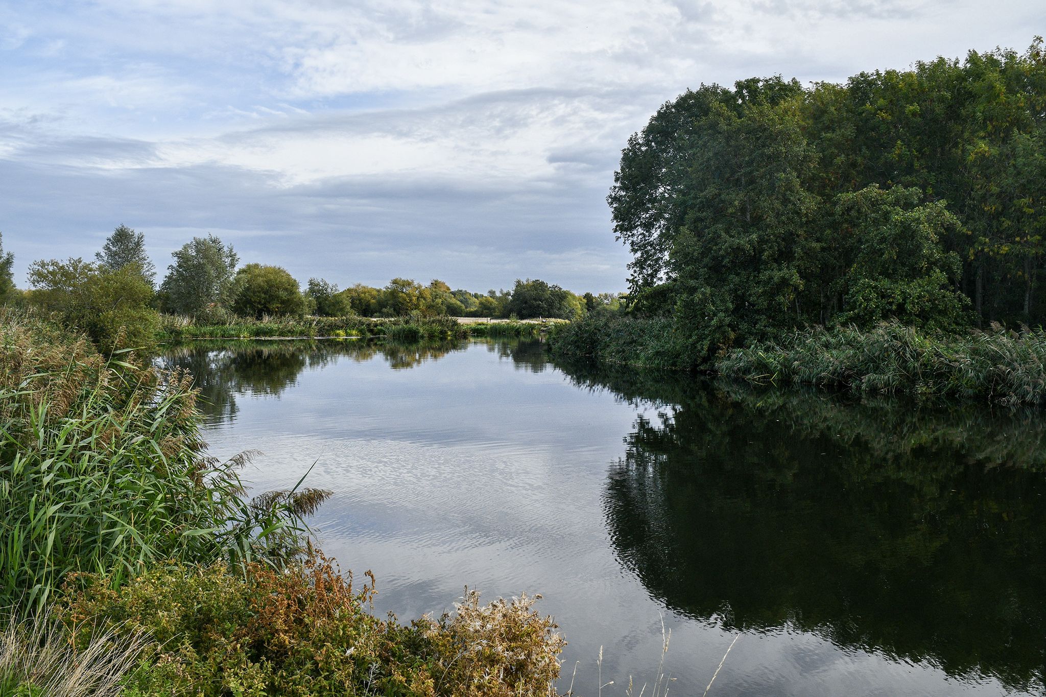 The Avon towards Wyre Piddle