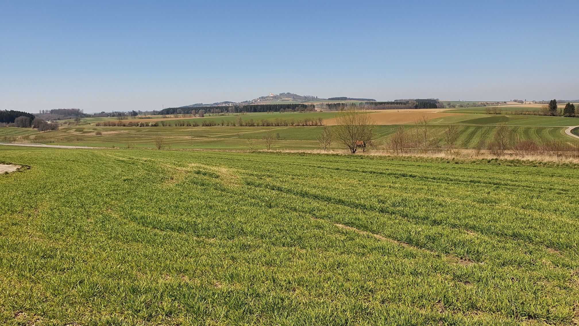 Blick zum  Bussen